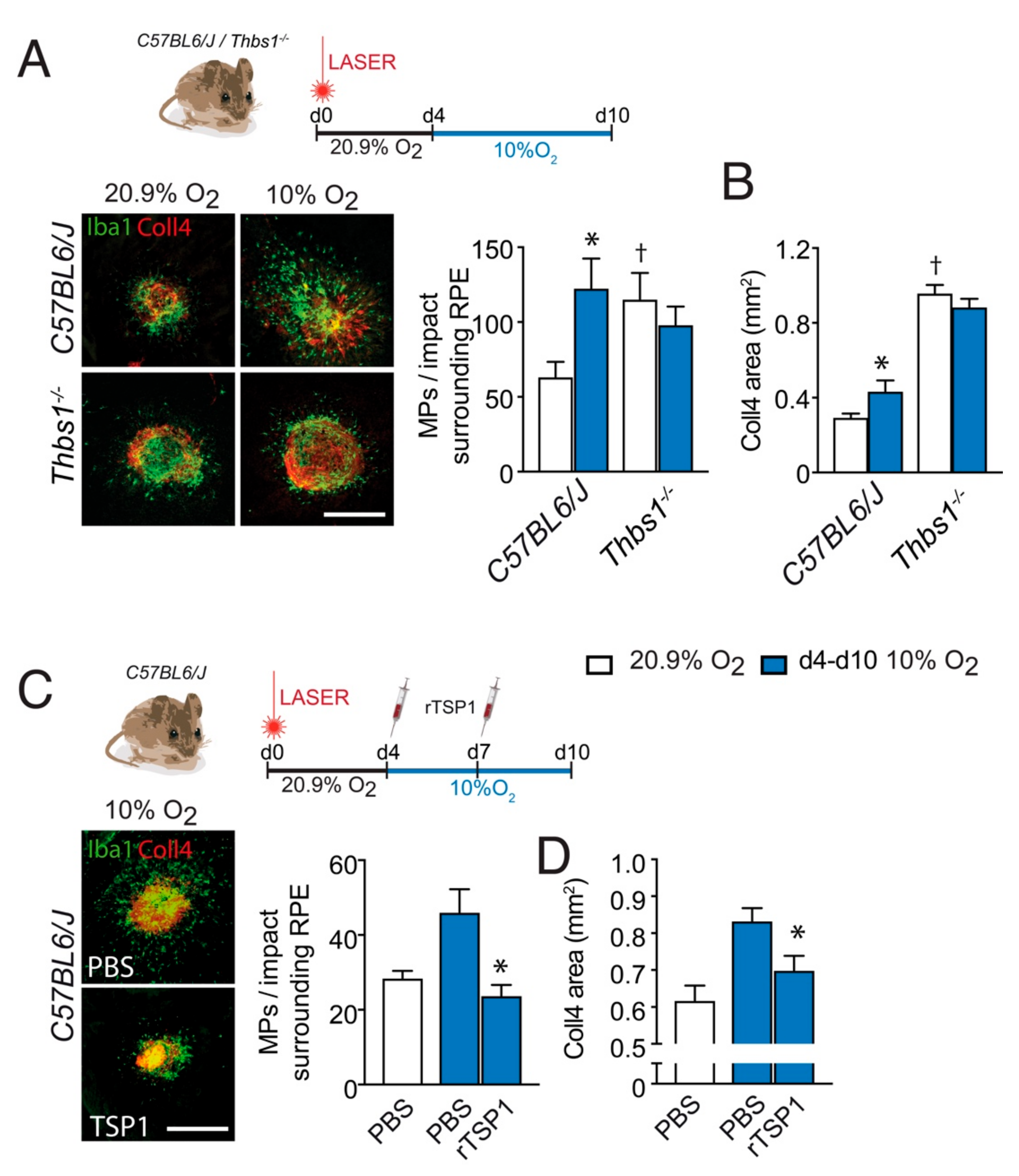 Ijms 23 00681 g003 Ijms 23 00681 g003