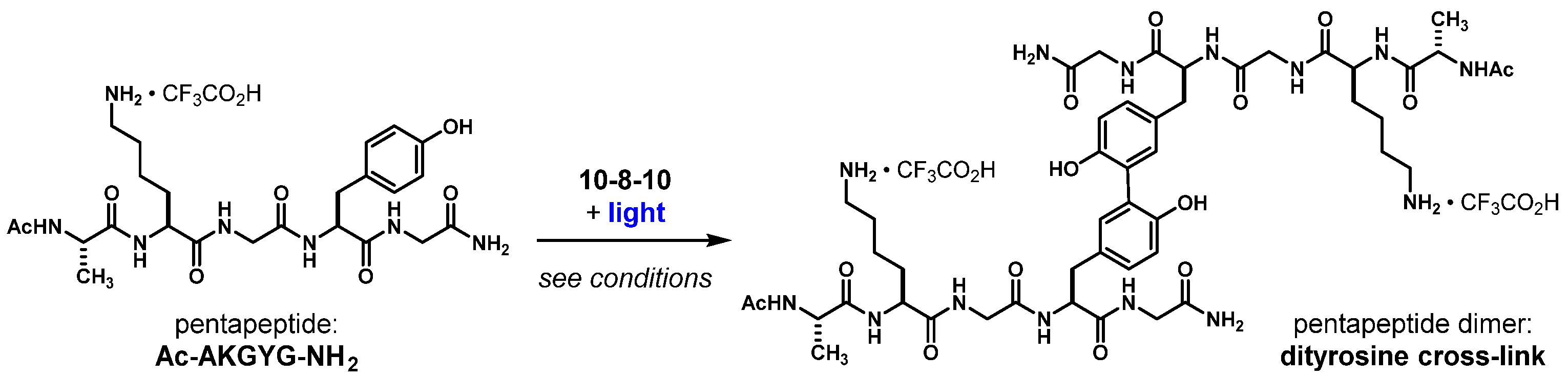 Ijms 23 00683 g004 Ijms 23 00683 g004