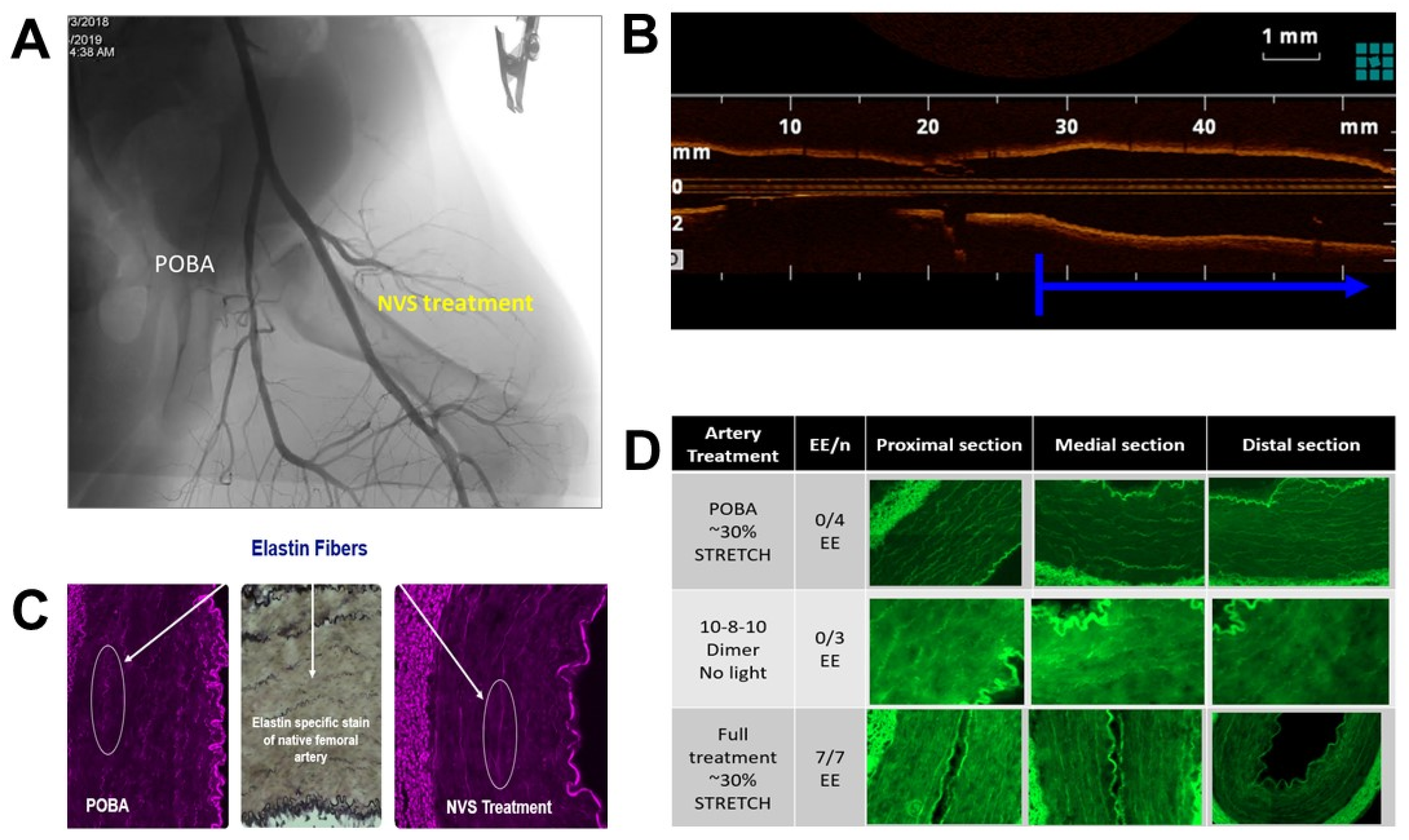 Ijms 23 00683 g008 Ijms 23 00683 g008
