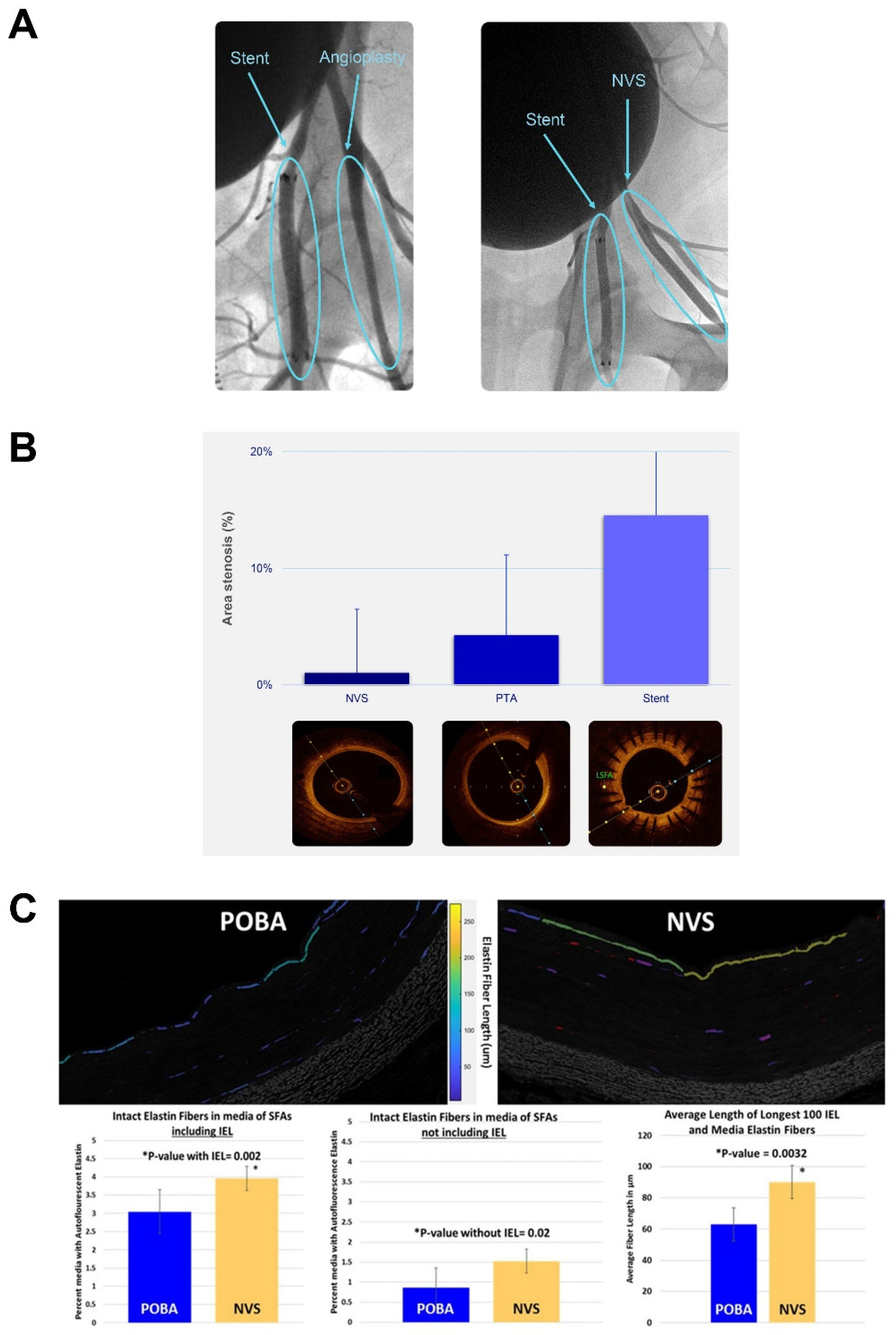Ijms 23 00683 g009 Ijms 23 00683 g009