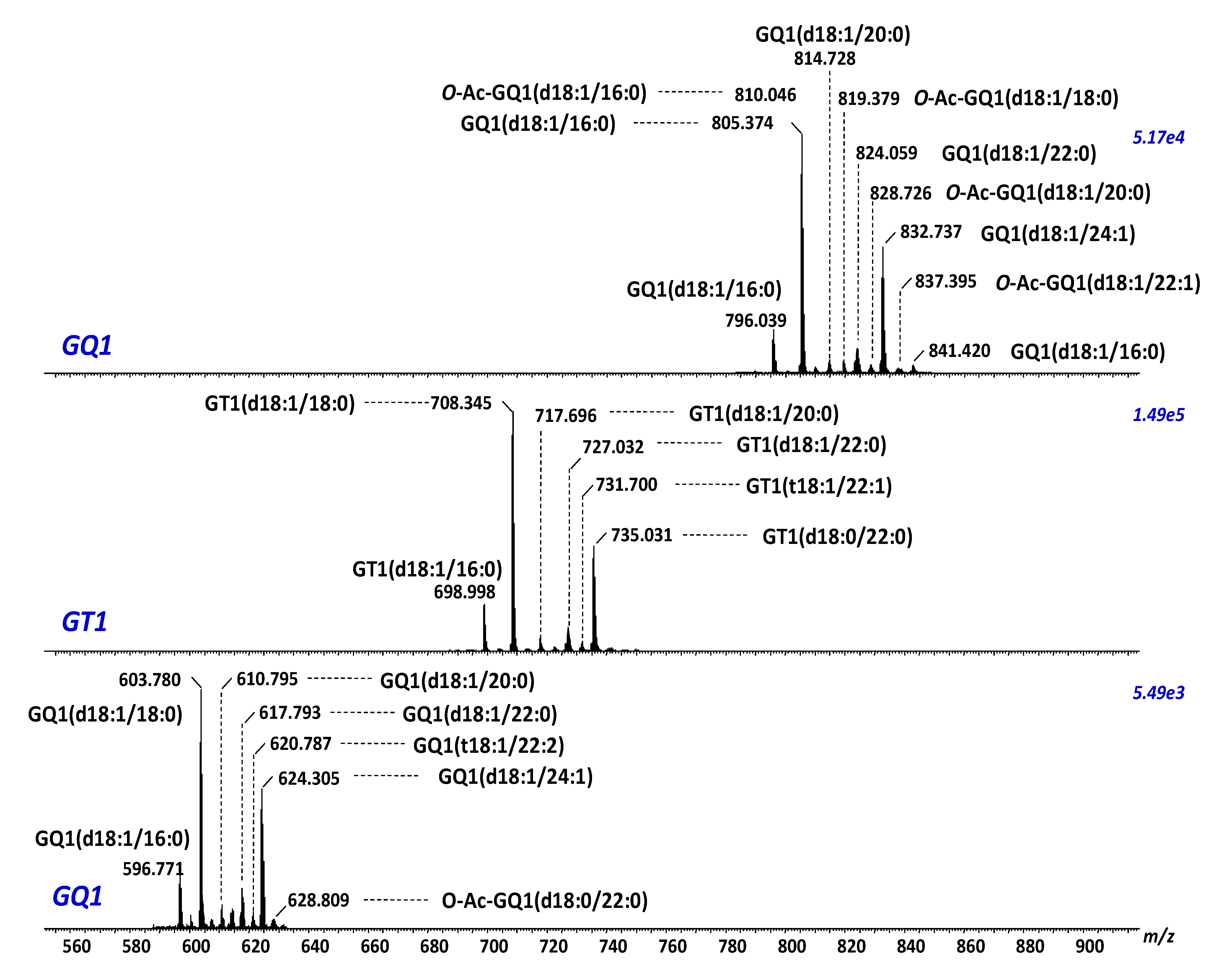 Ijms 23 00693 g008 Ijms 23 00693 g008