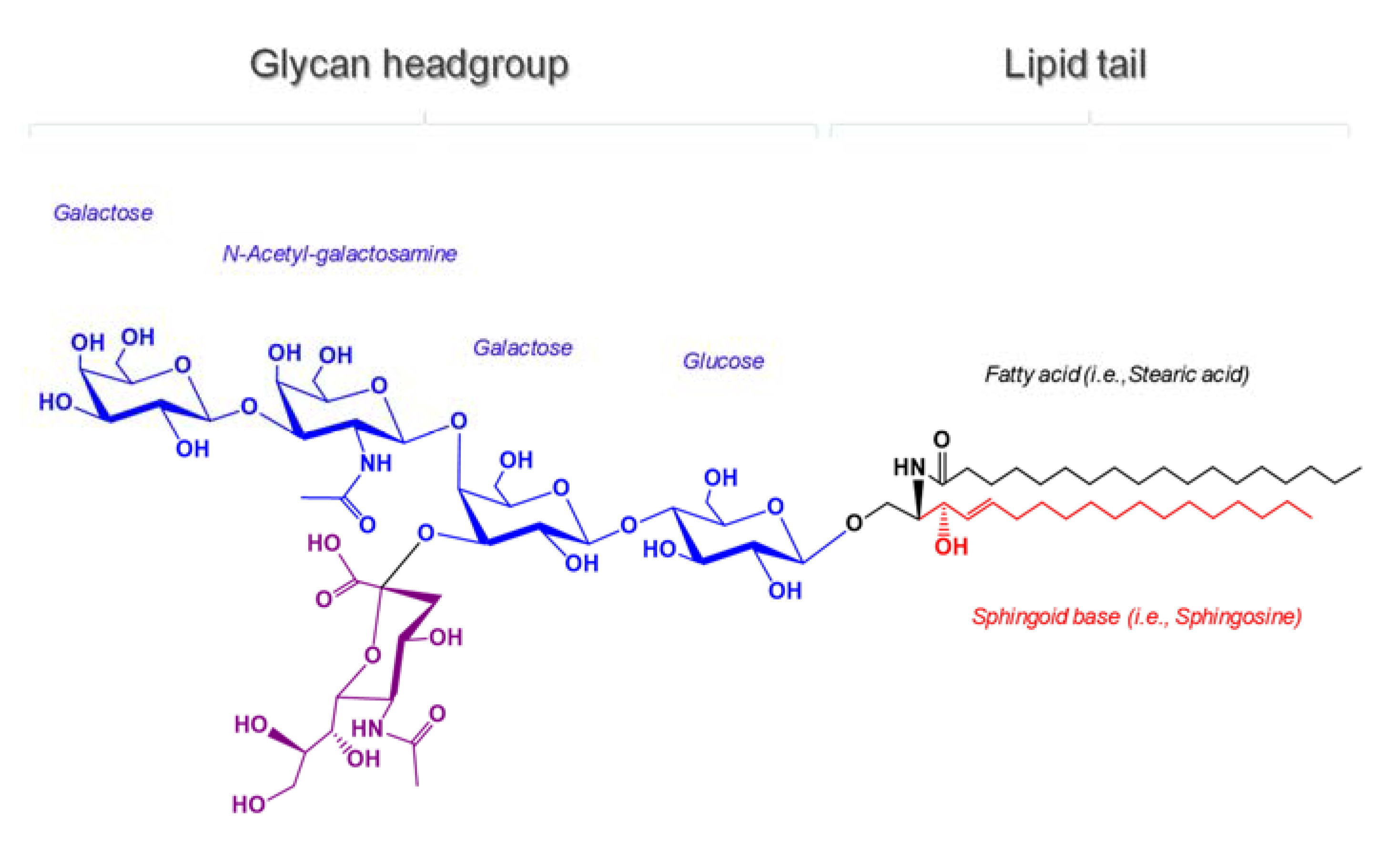 Ijms 23 00693 sch001 Ijms 23 00693 sch001