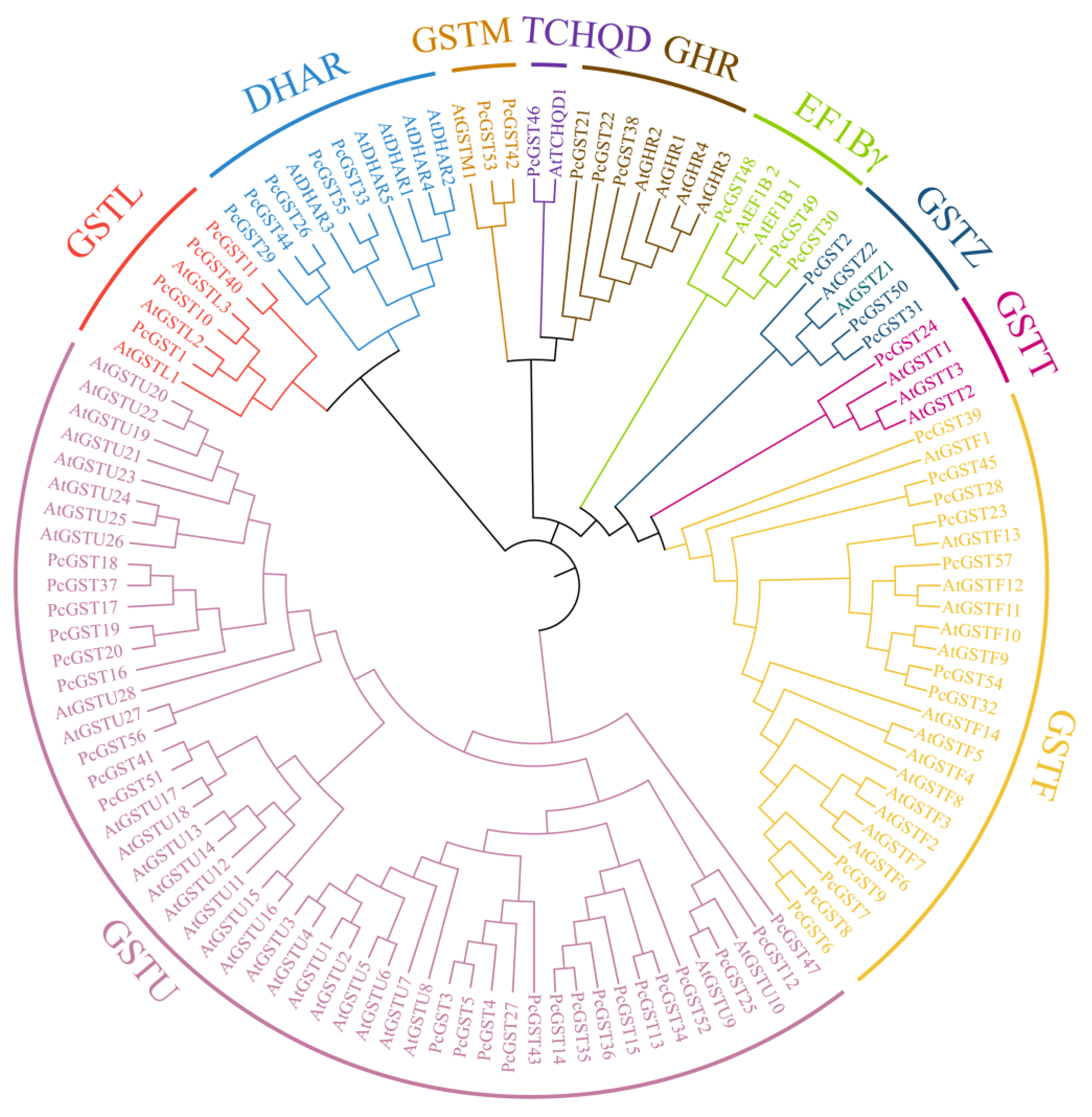 Ijms 23 00746 g001 Ijms 23 00746 g001