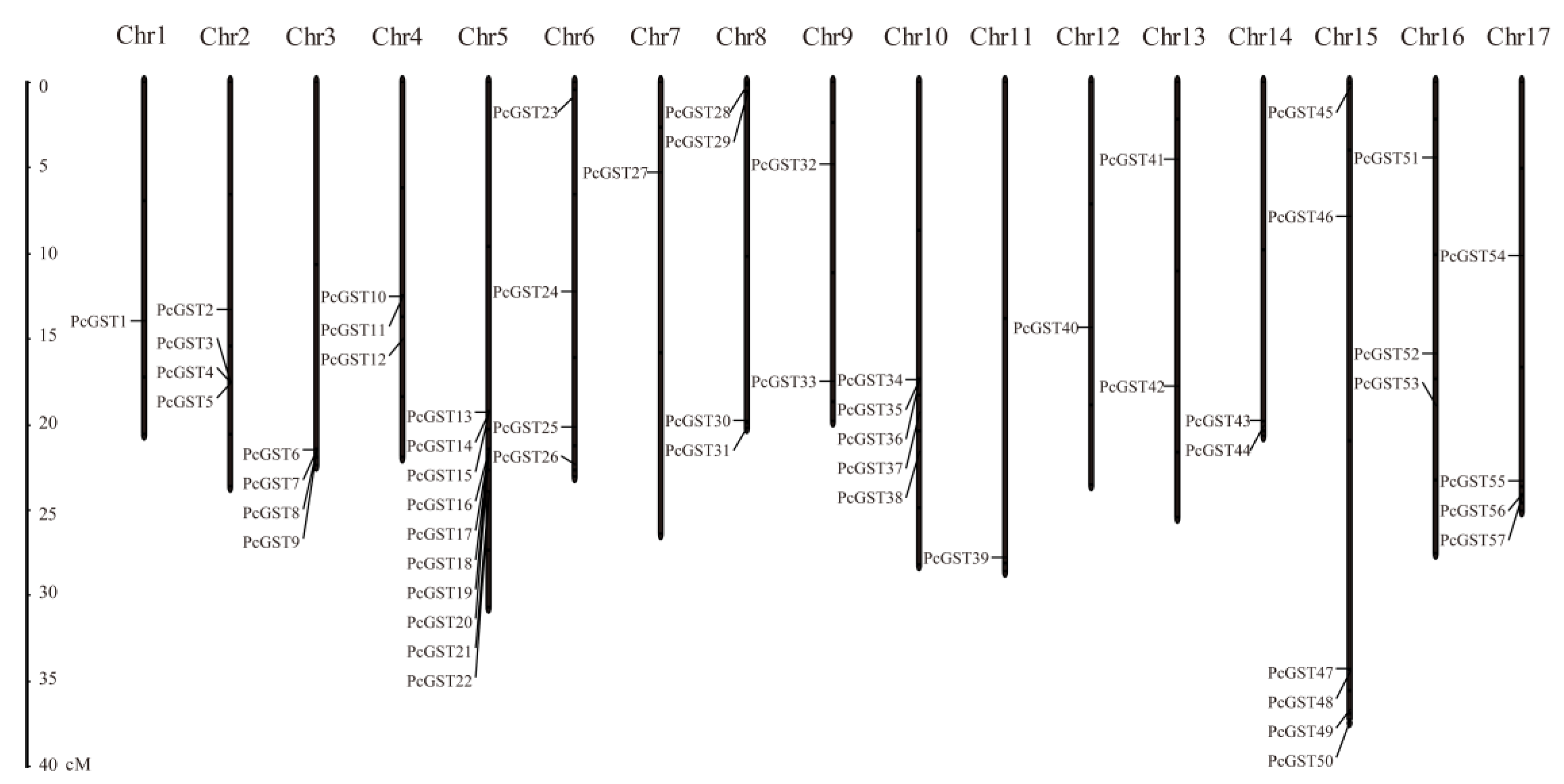 Ijms 23 00746 g002 Ijms 23 00746 g002