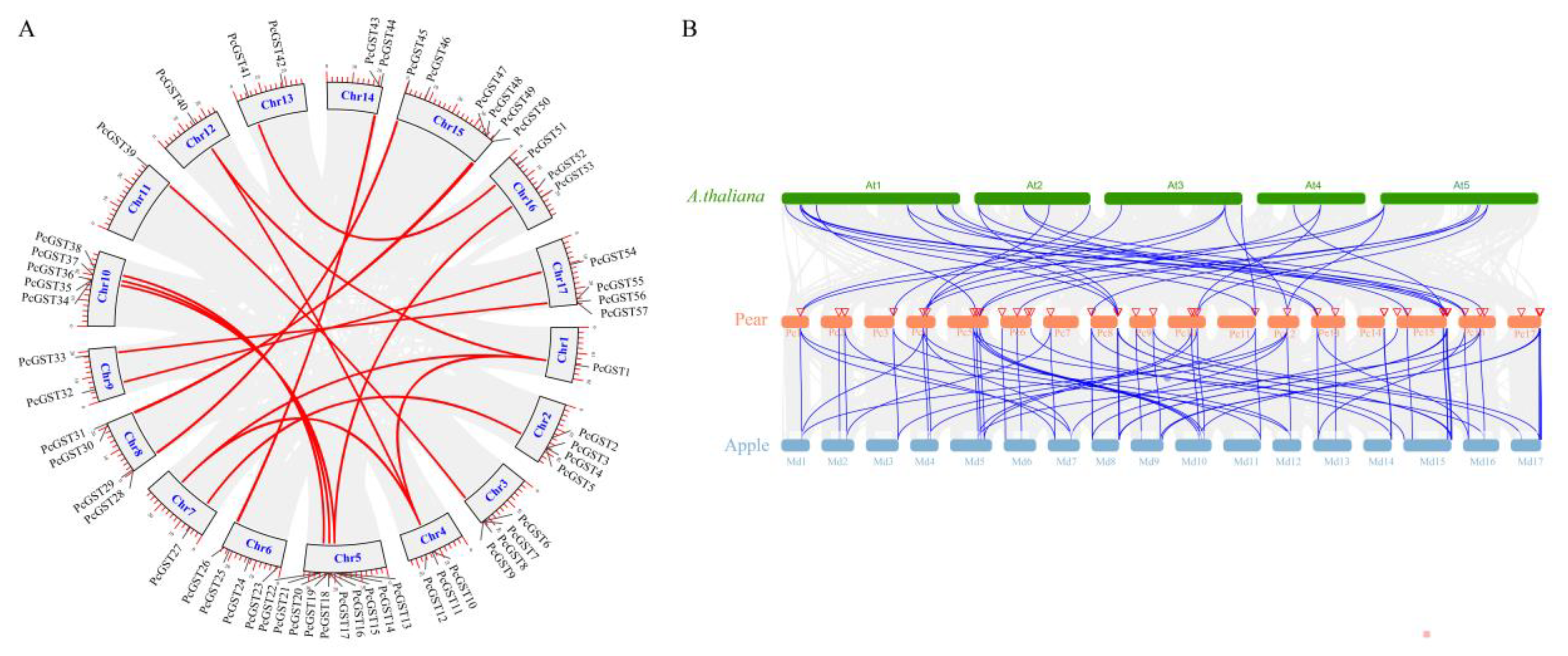 Ijms 23 00746 g003 Ijms 23 00746 g003