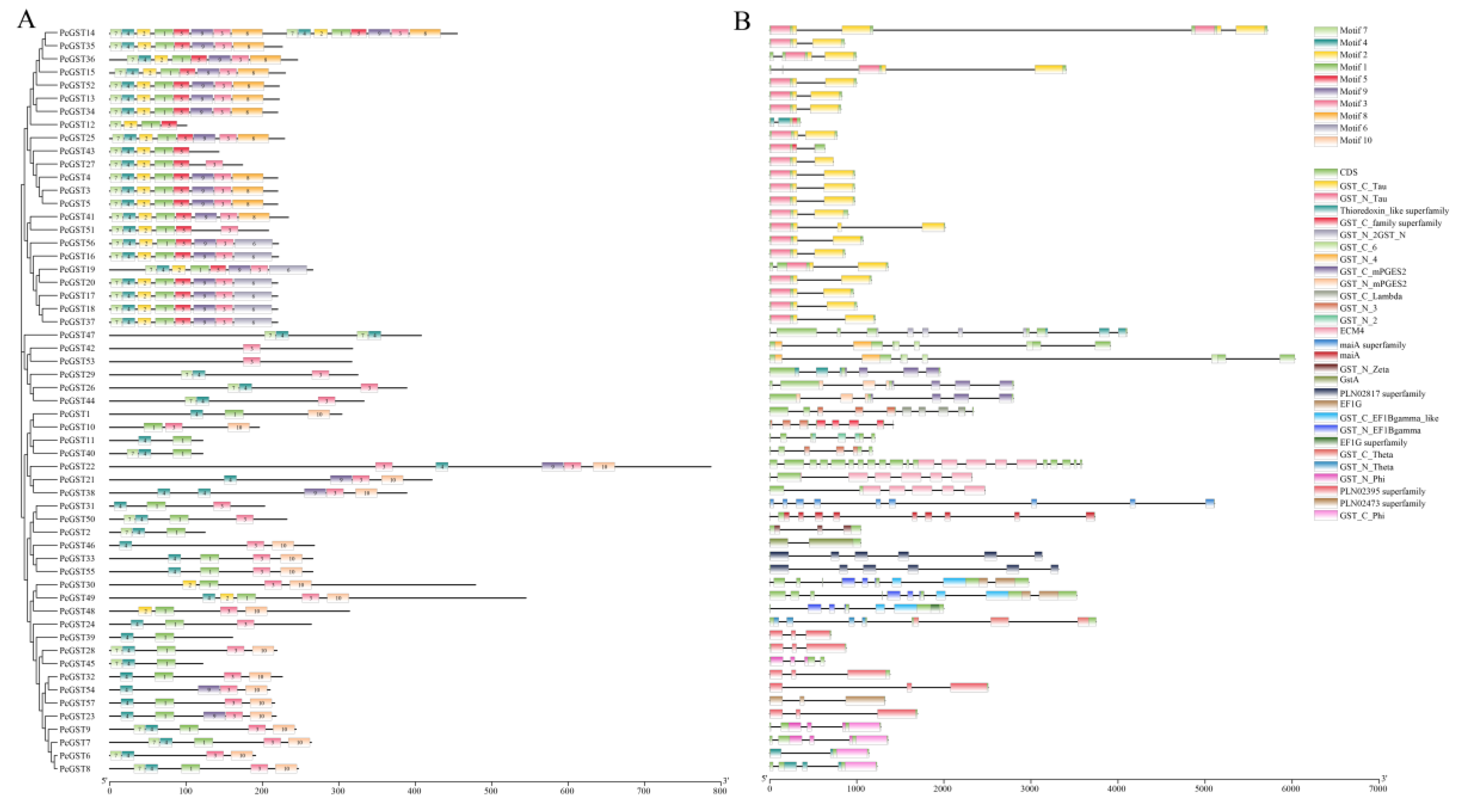 Ijms 23 00746 g004 Ijms 23 00746 g004
