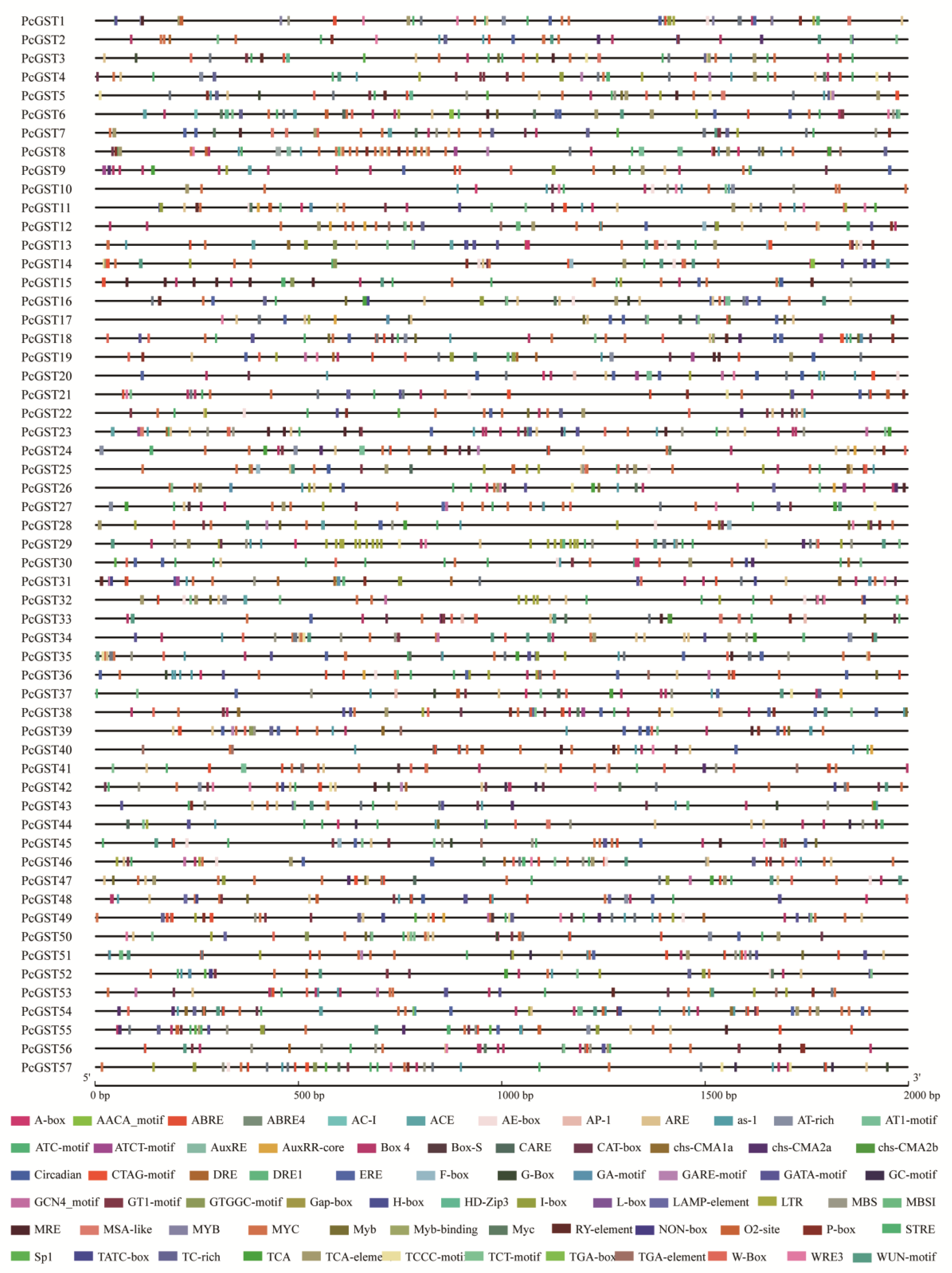 Ijms 23 00746 g005 Ijms 23 00746 g005