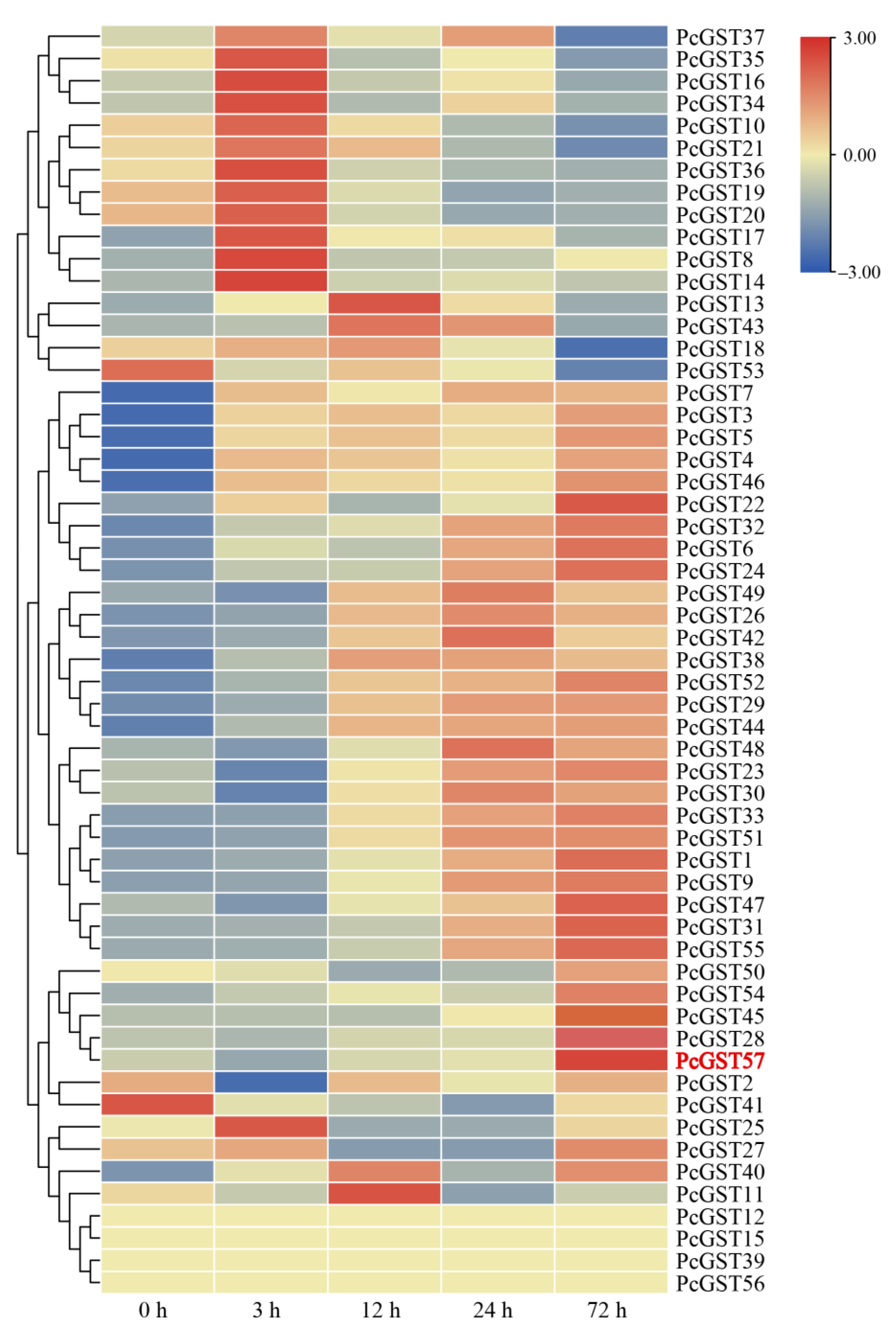 Ijms 23 00746 g006 Ijms 23 00746 g006