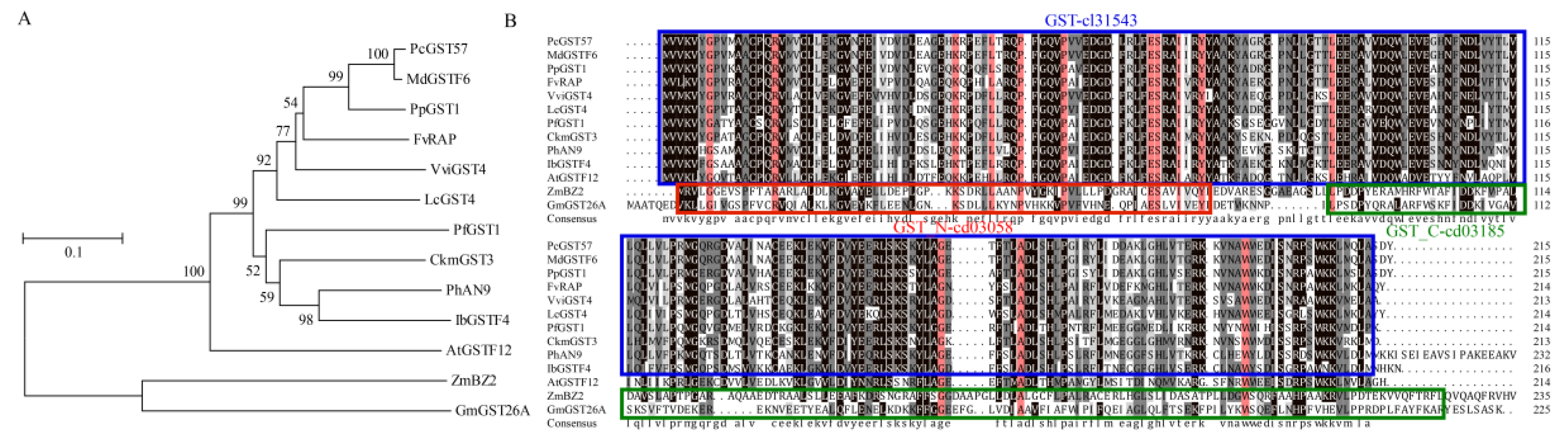 Ijms 23 00746 g007 Ijms 23 00746 g007