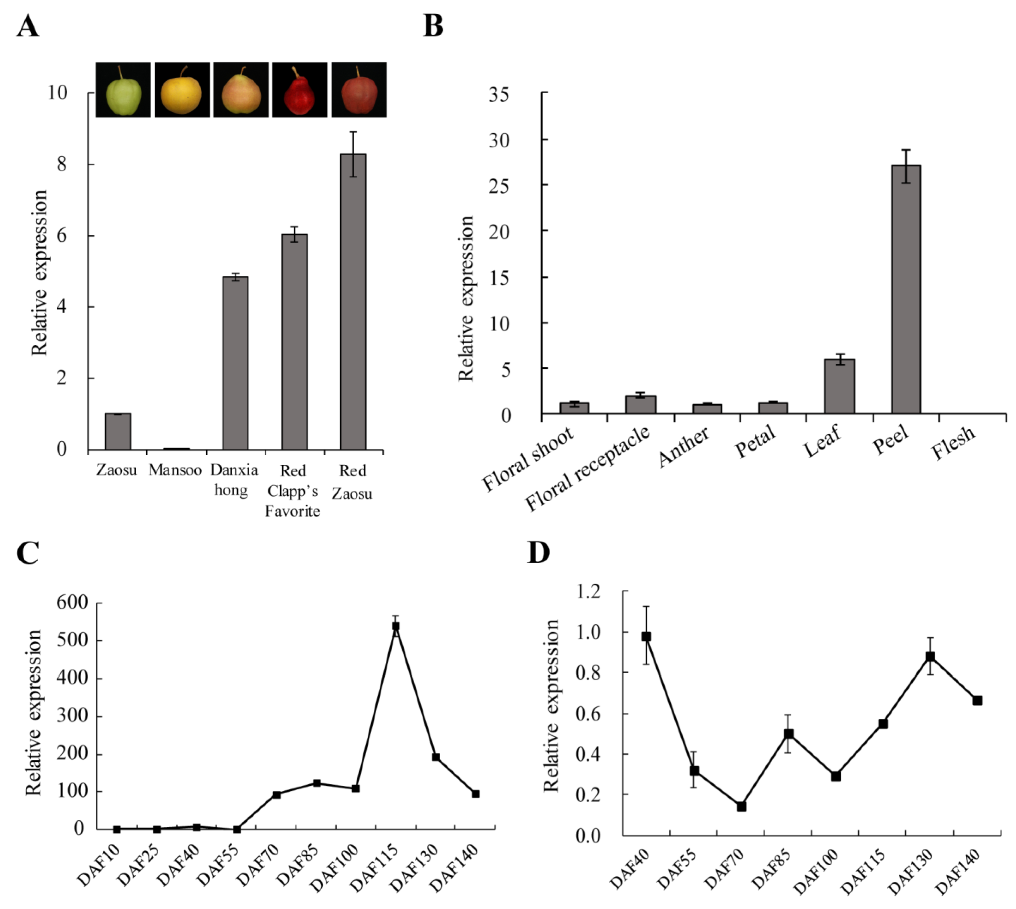 Ijms 23 00746 g008 Ijms 23 00746 g008
