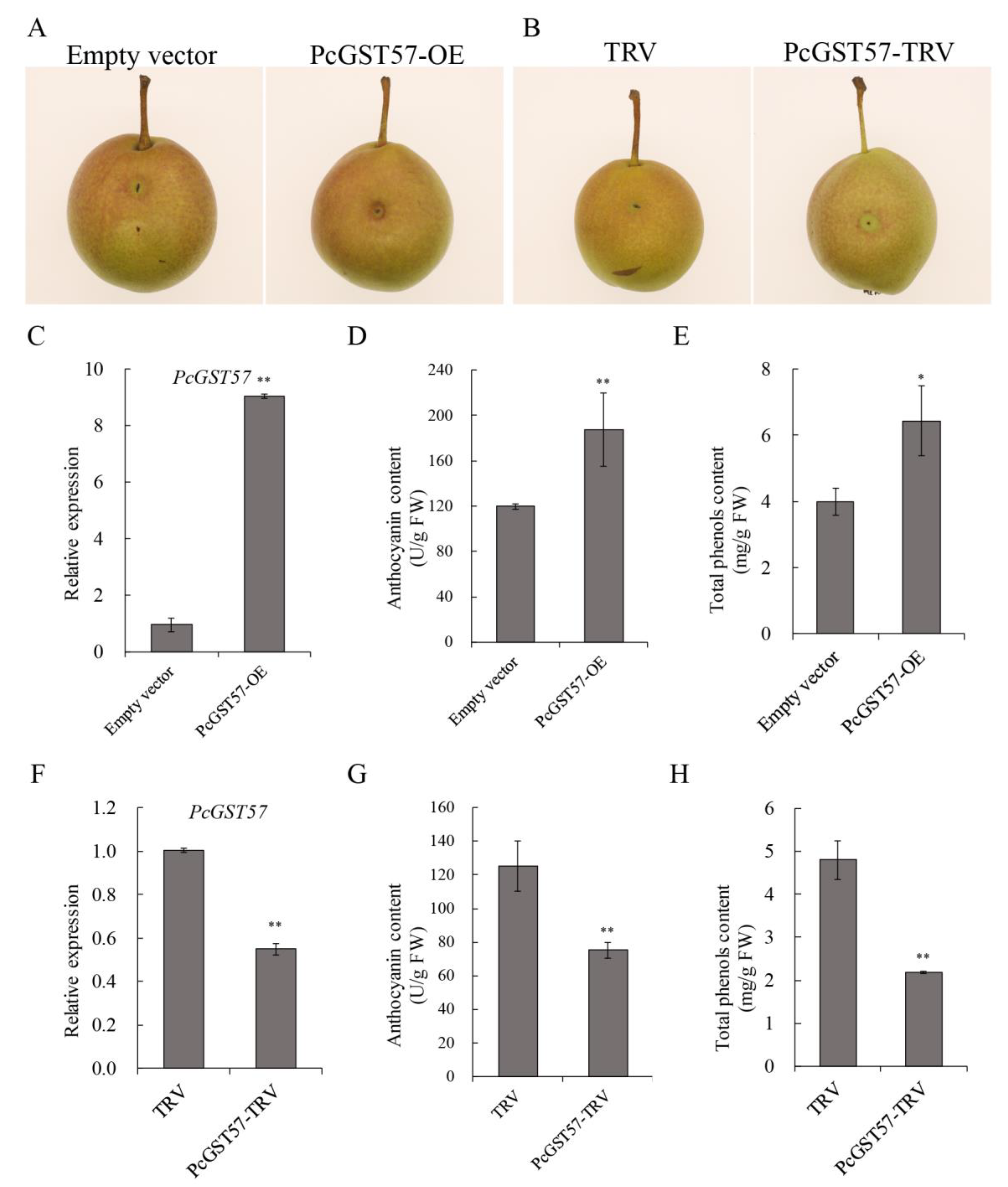Ijms 23 00746 g009 Ijms 23 00746 g009