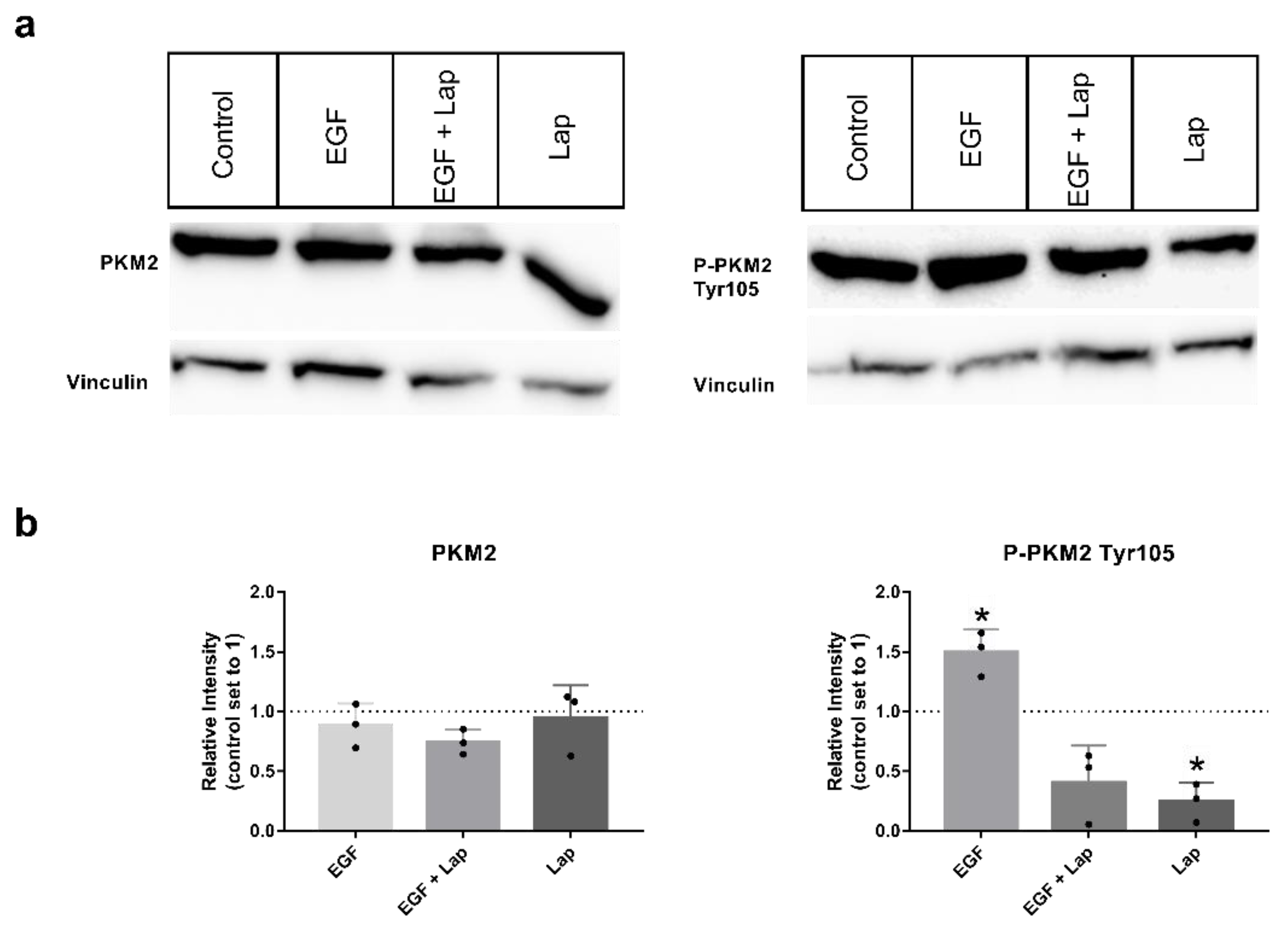 Ijms 23 00775 g002 Ijms 23 00775 g002