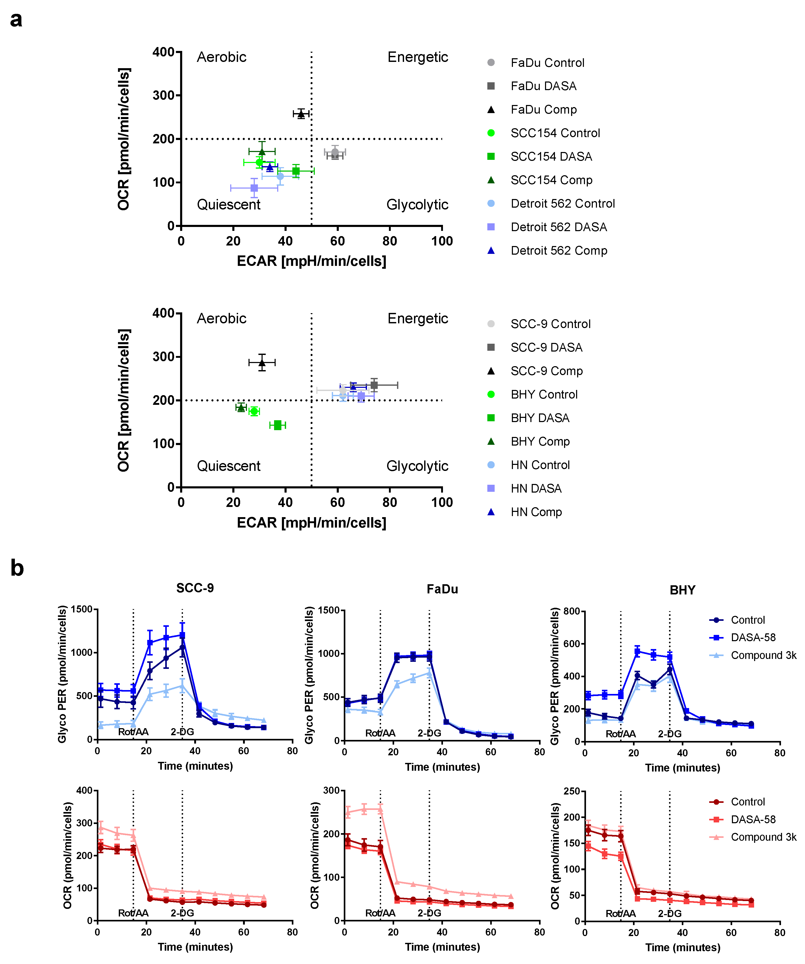 Ijms 23 00775 g004 Ijms 23 00775 g004