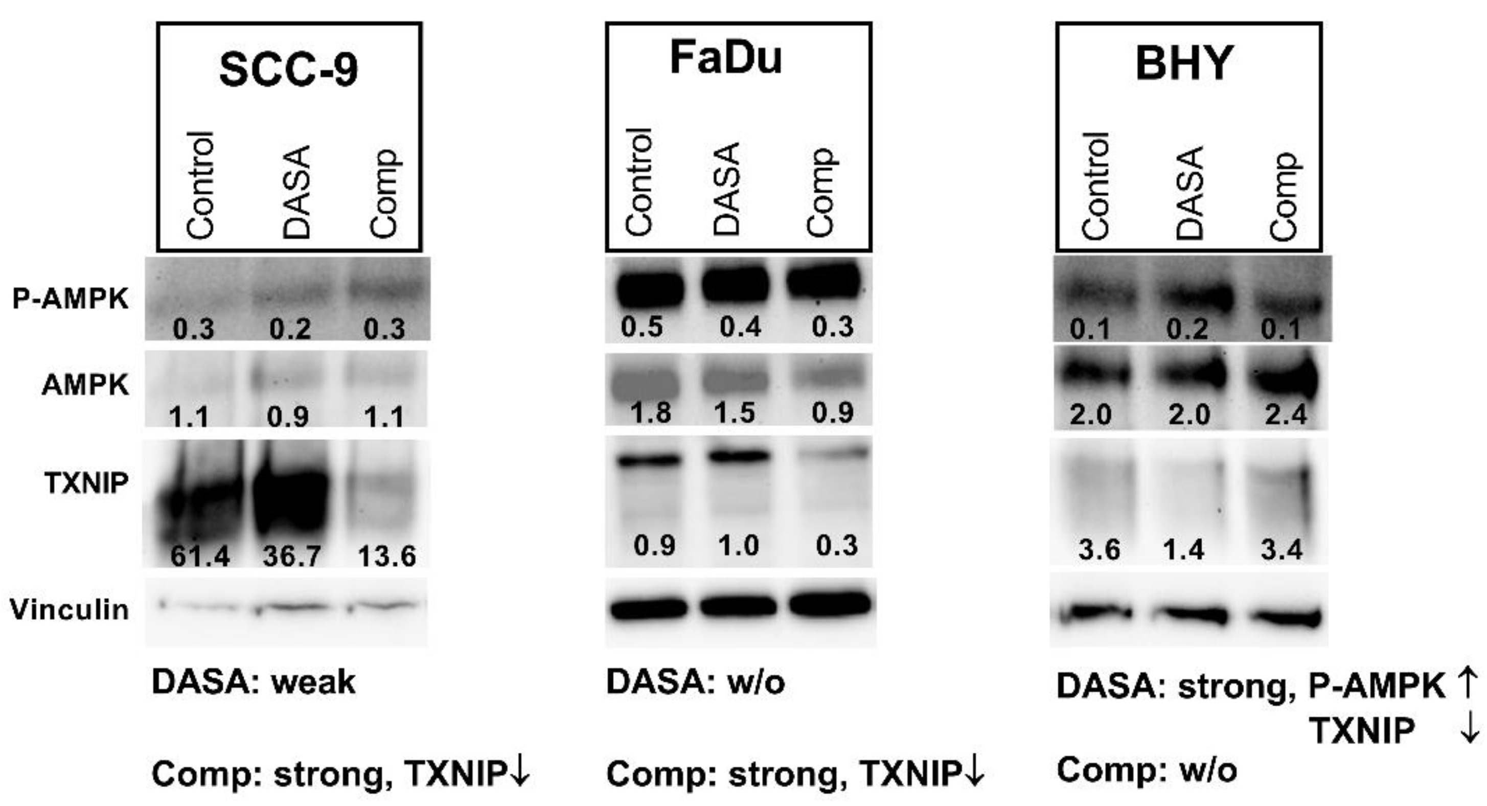 Ijms 23 00775 g006 Ijms 23 00775 g006