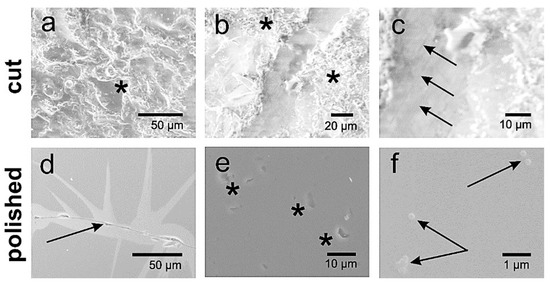 Ijms 23 00802 g0a2 550