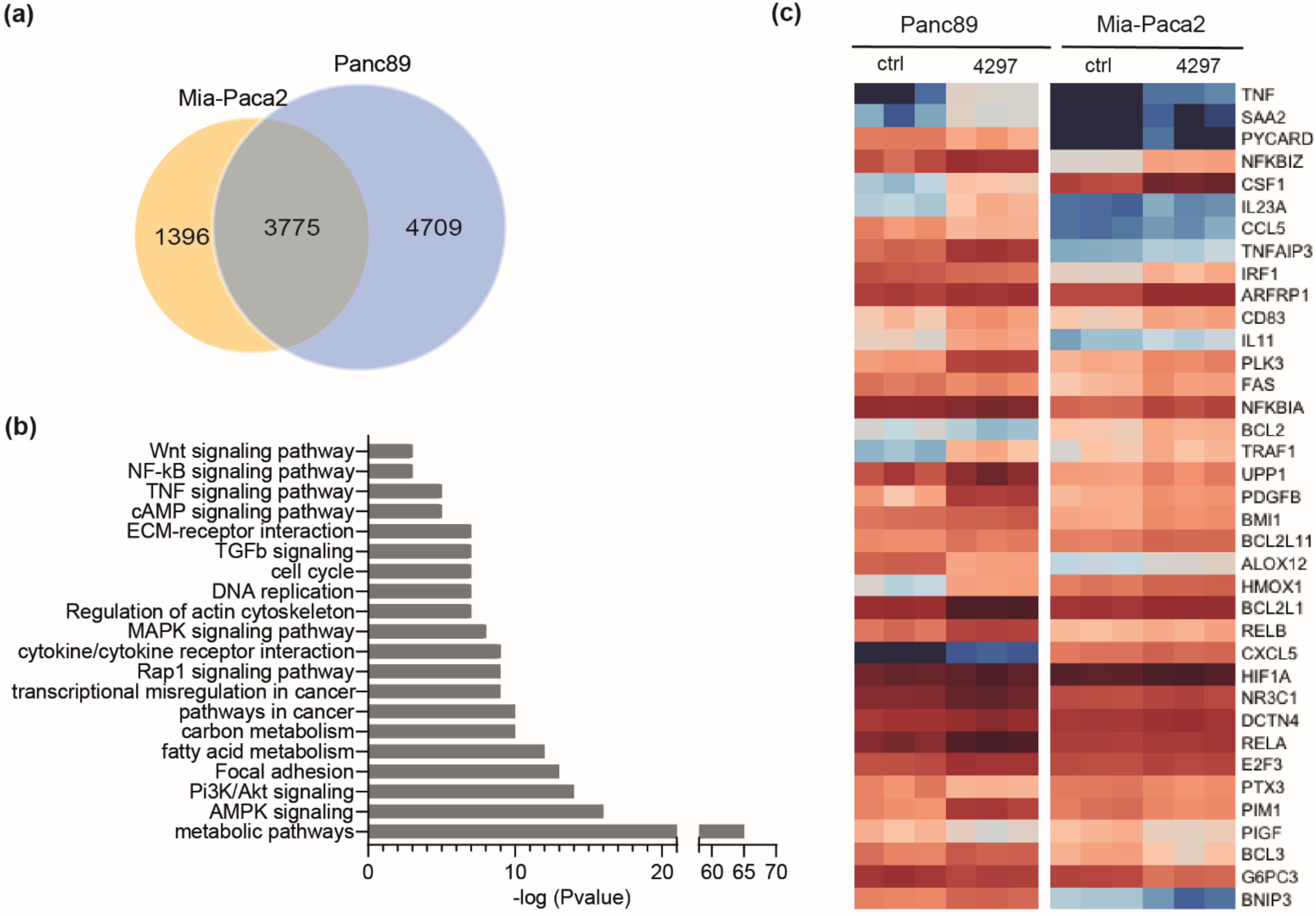 Ijms 23 00812 g005 Ijms 23 00812 g005