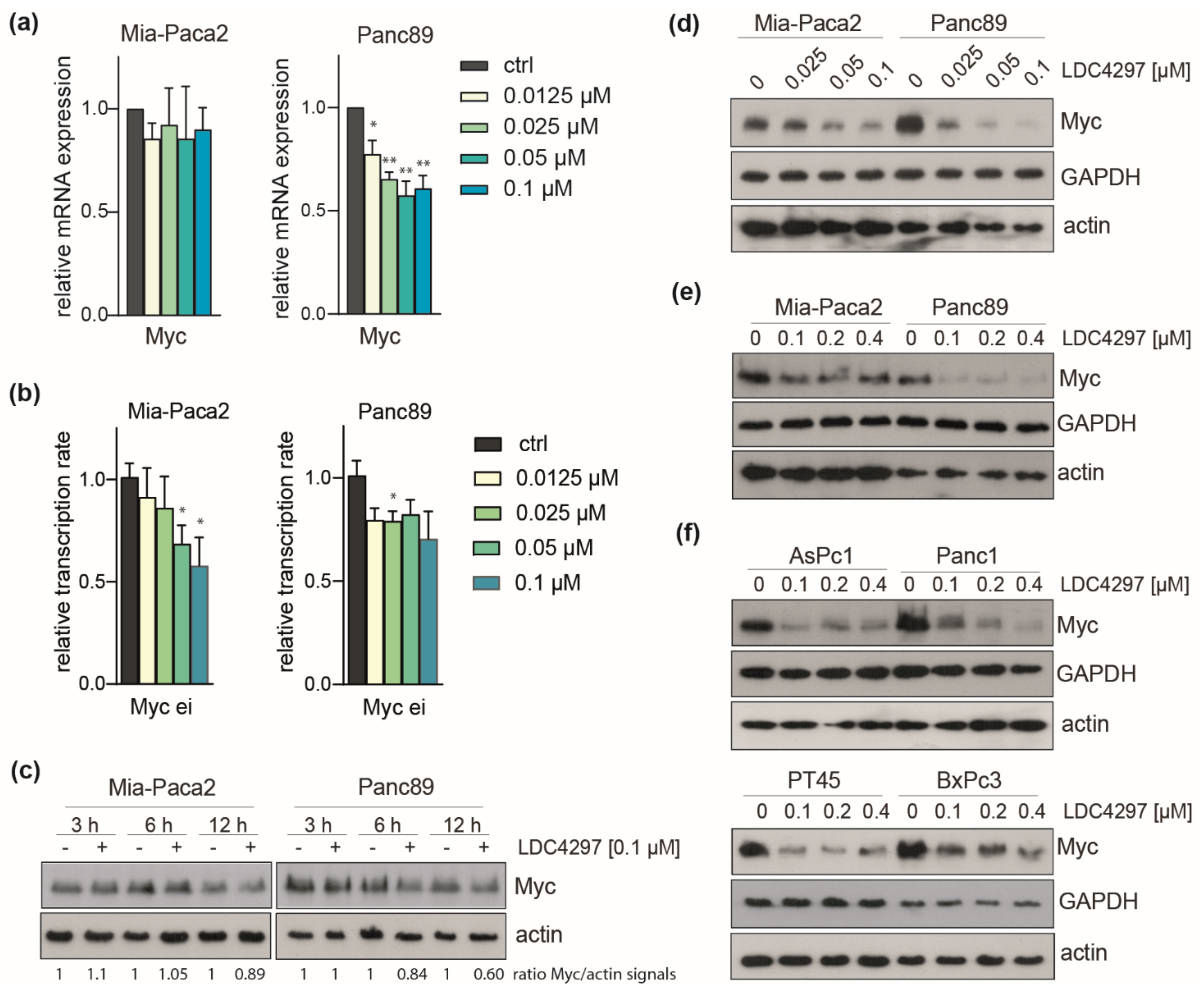 Ijms 23 00812 g006 Ijms 23 00812 g006