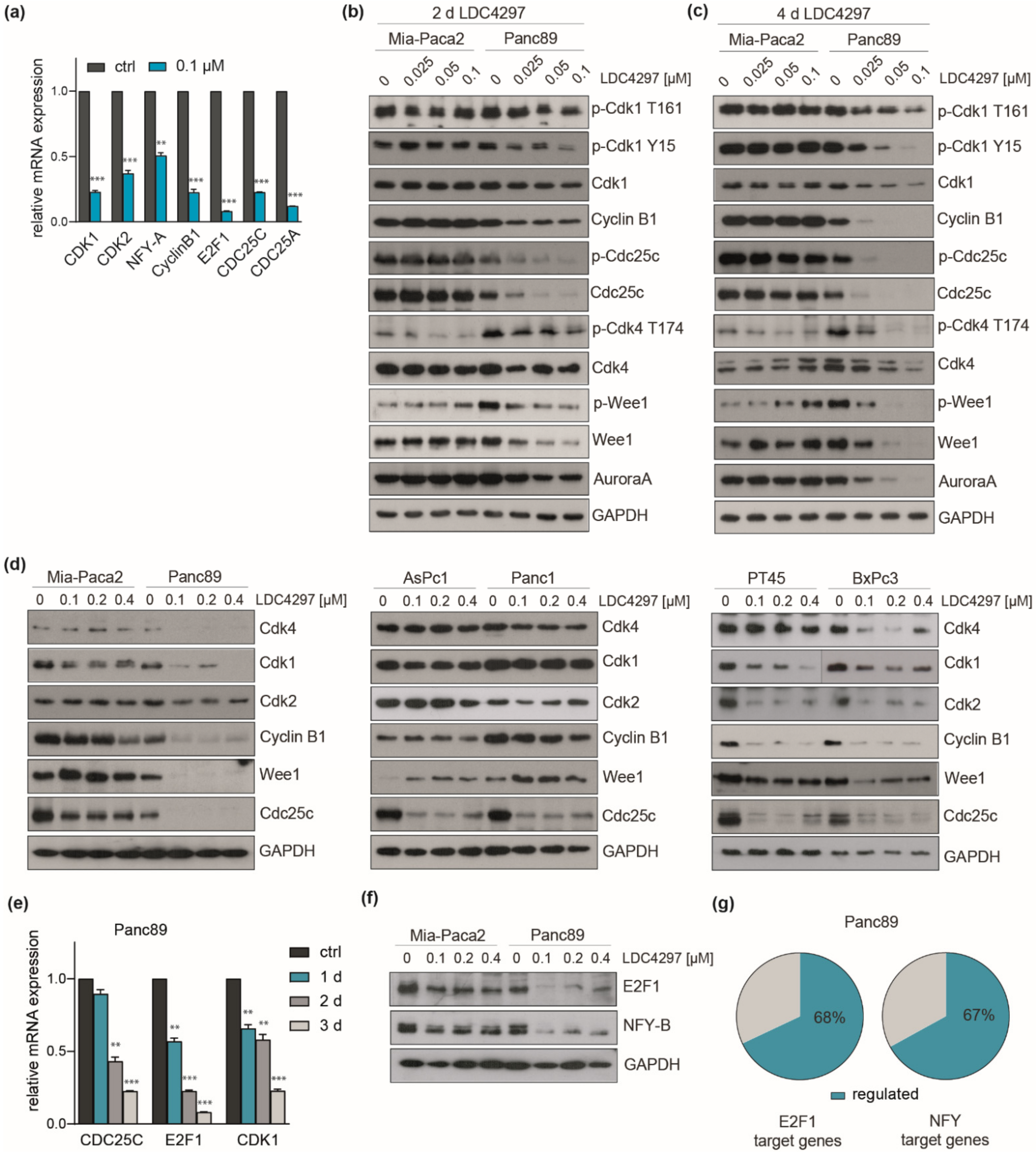 Ijms 23 00812 g007 Ijms 23 00812 g007