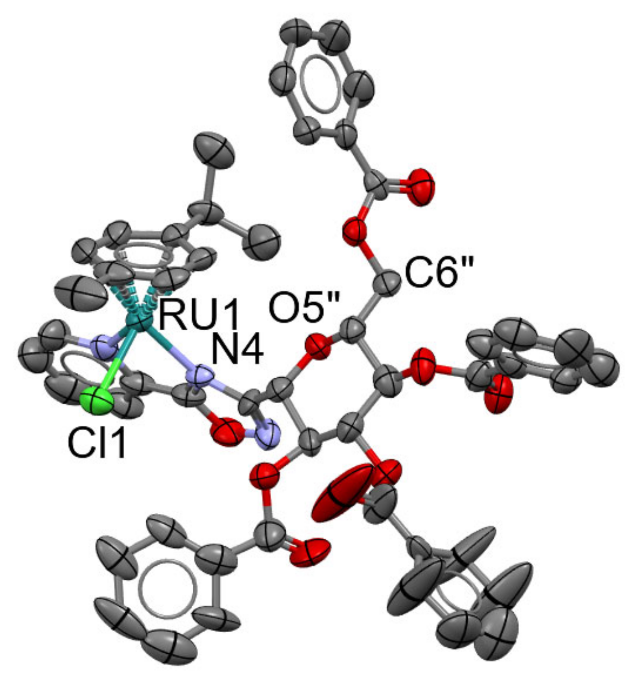 Ijms 23 00813 g002 Ijms 23 00813 g002