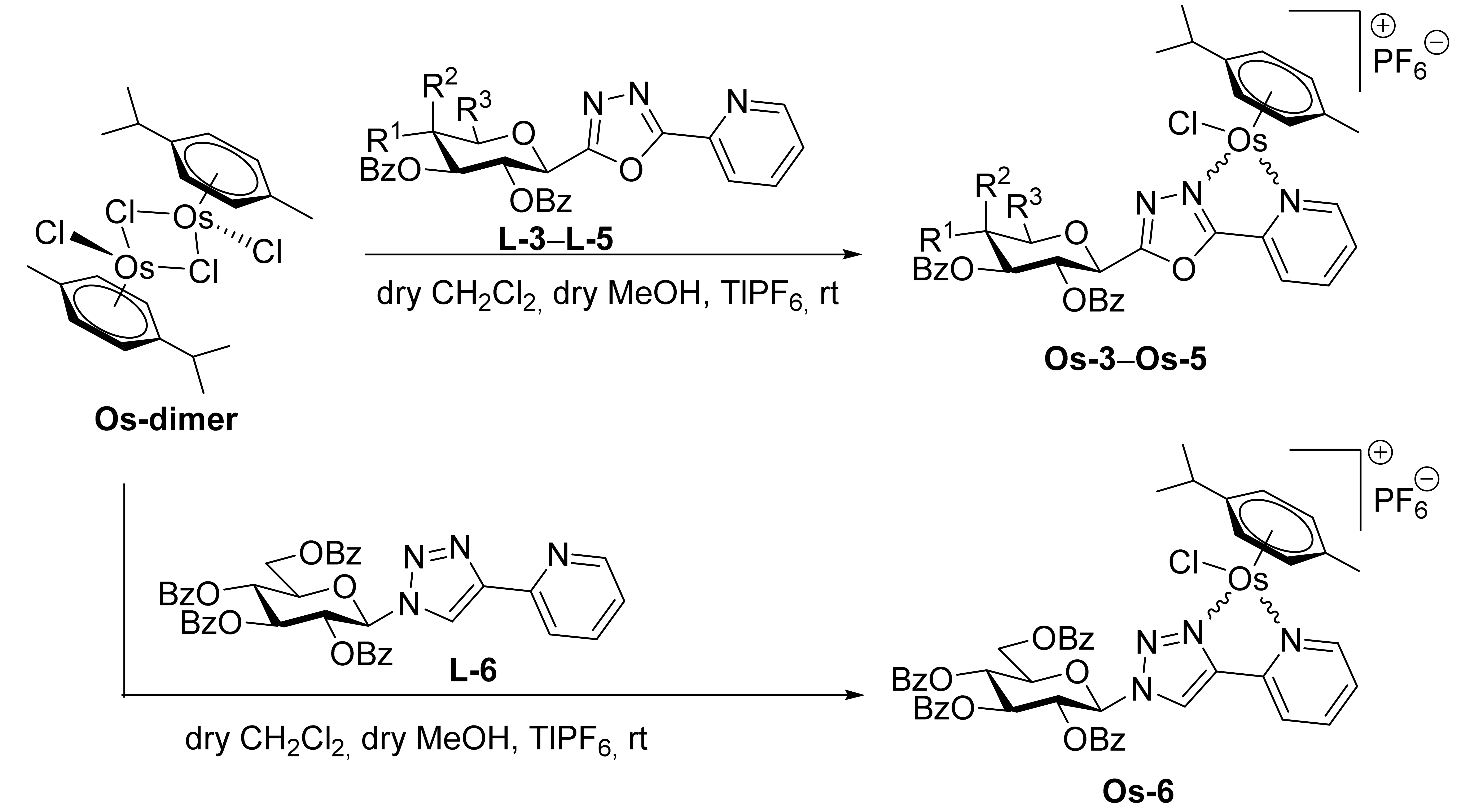 Ijms 23 00813 i001 Ijms 23 00813 i001