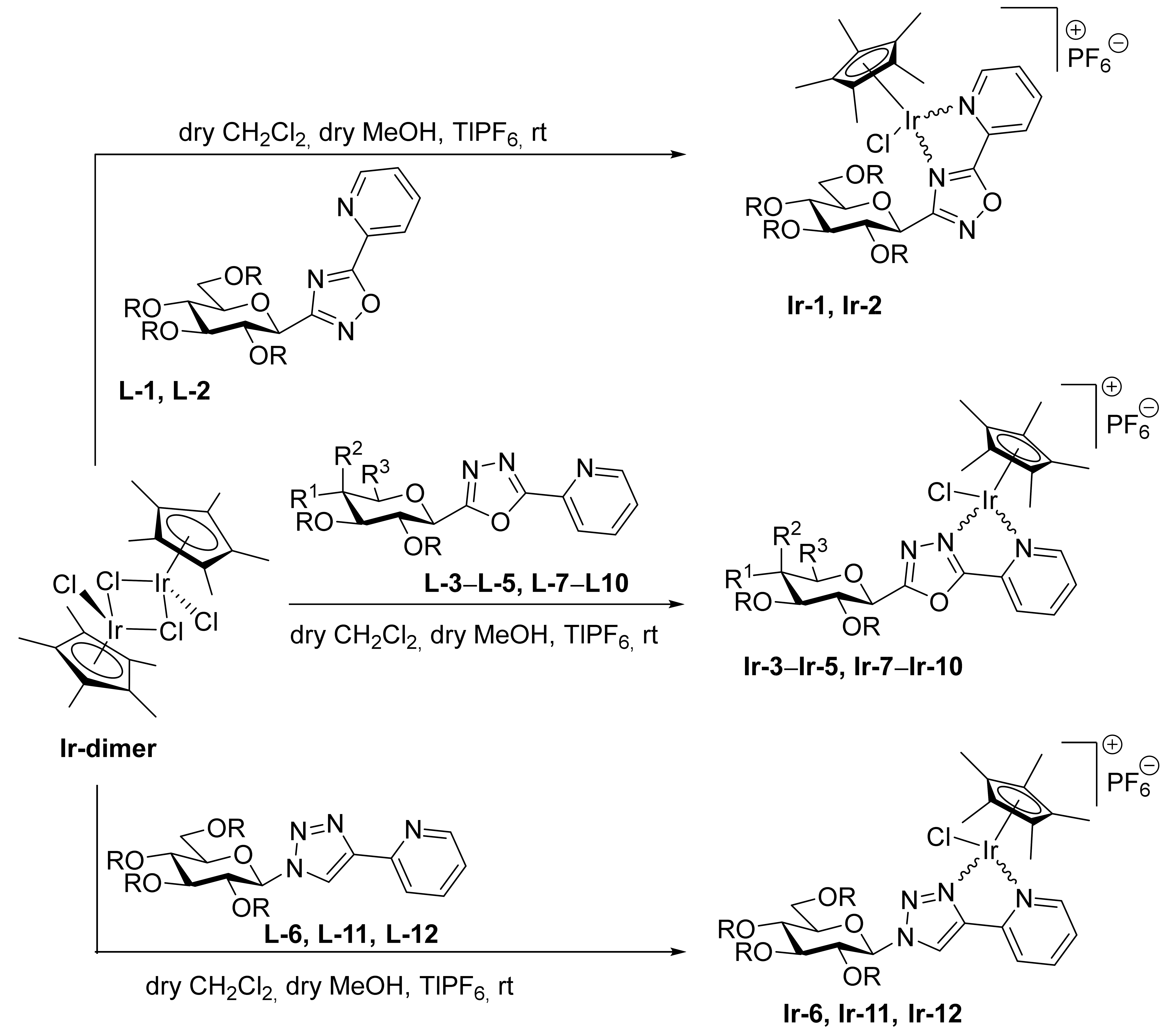 Ijms 23 00813 i002 Ijms 23 00813 i002