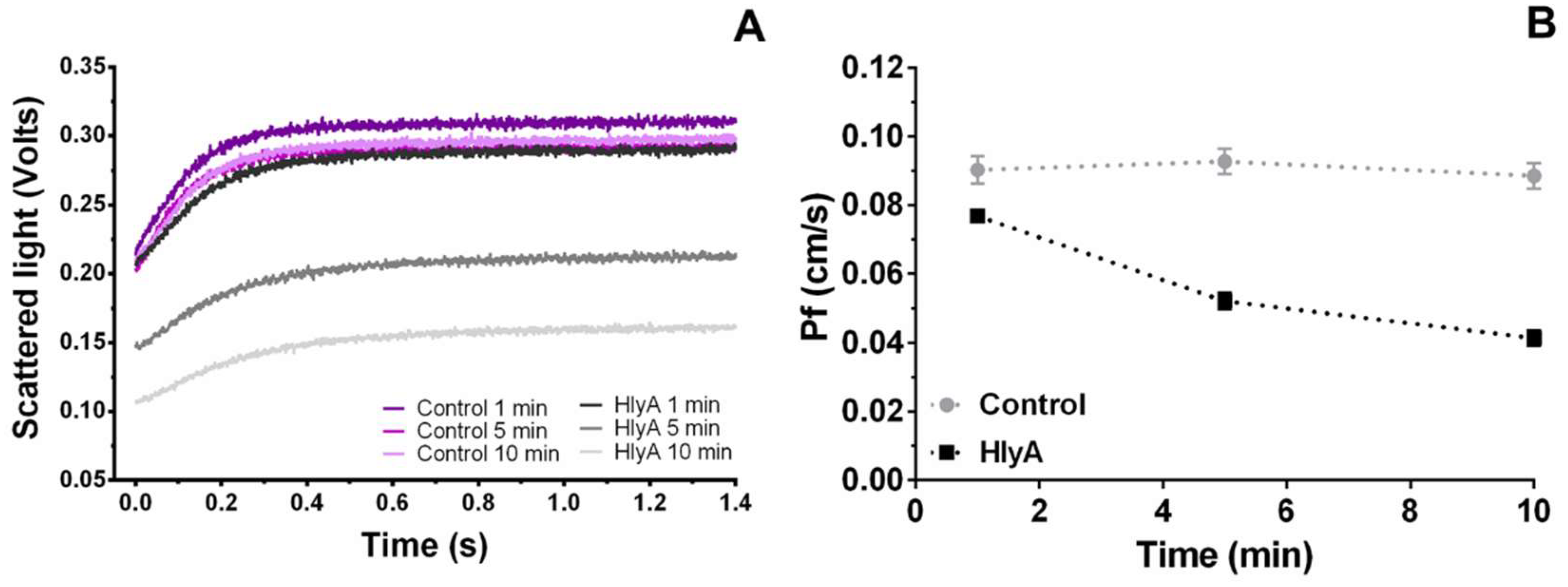 Ijms 23 00872 g002 Ijms 23 00872 g002