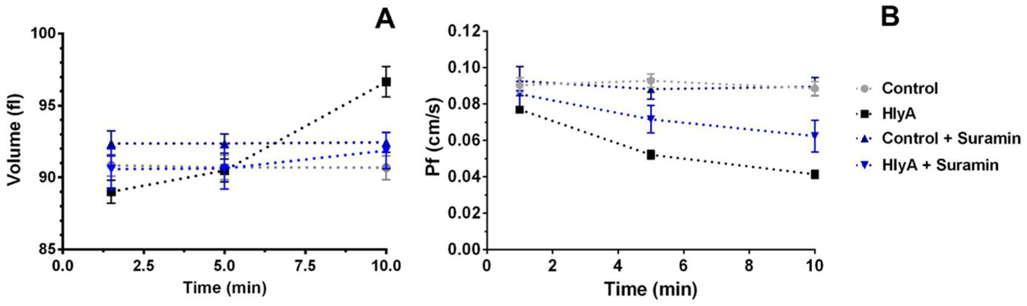 Ijms 23 00872 g003 Ijms 23 00872 g003