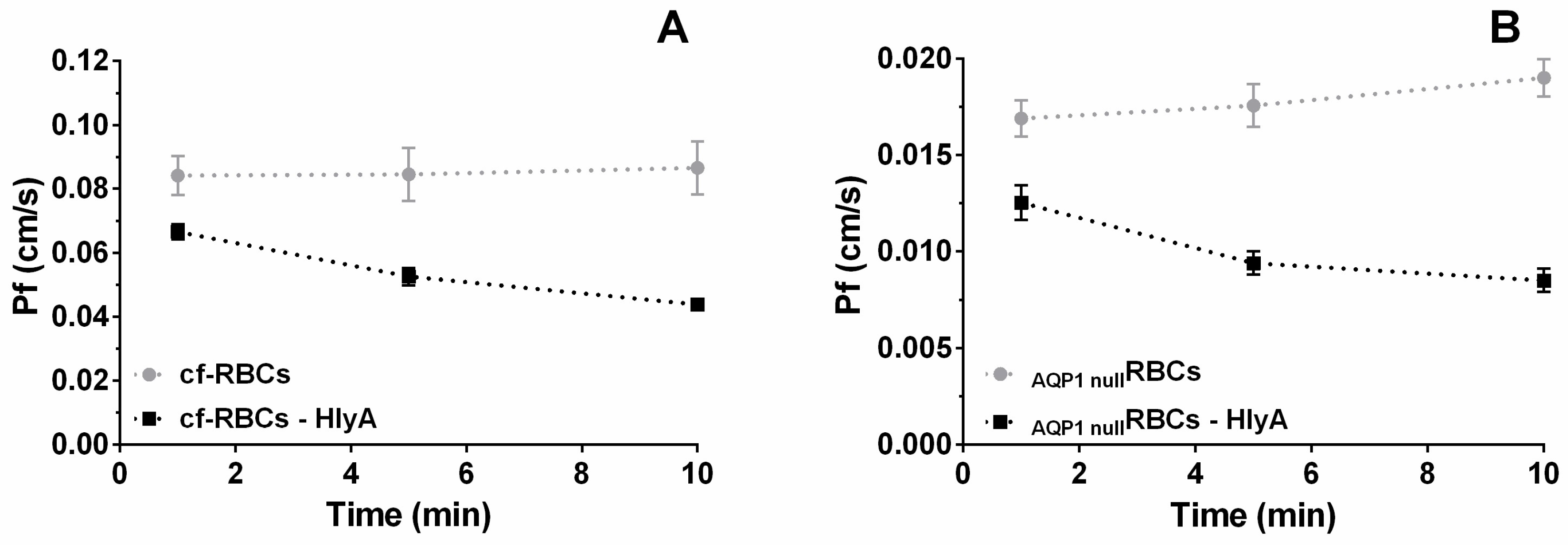 Ijms 23 00872 g005 Ijms 23 00872 g005