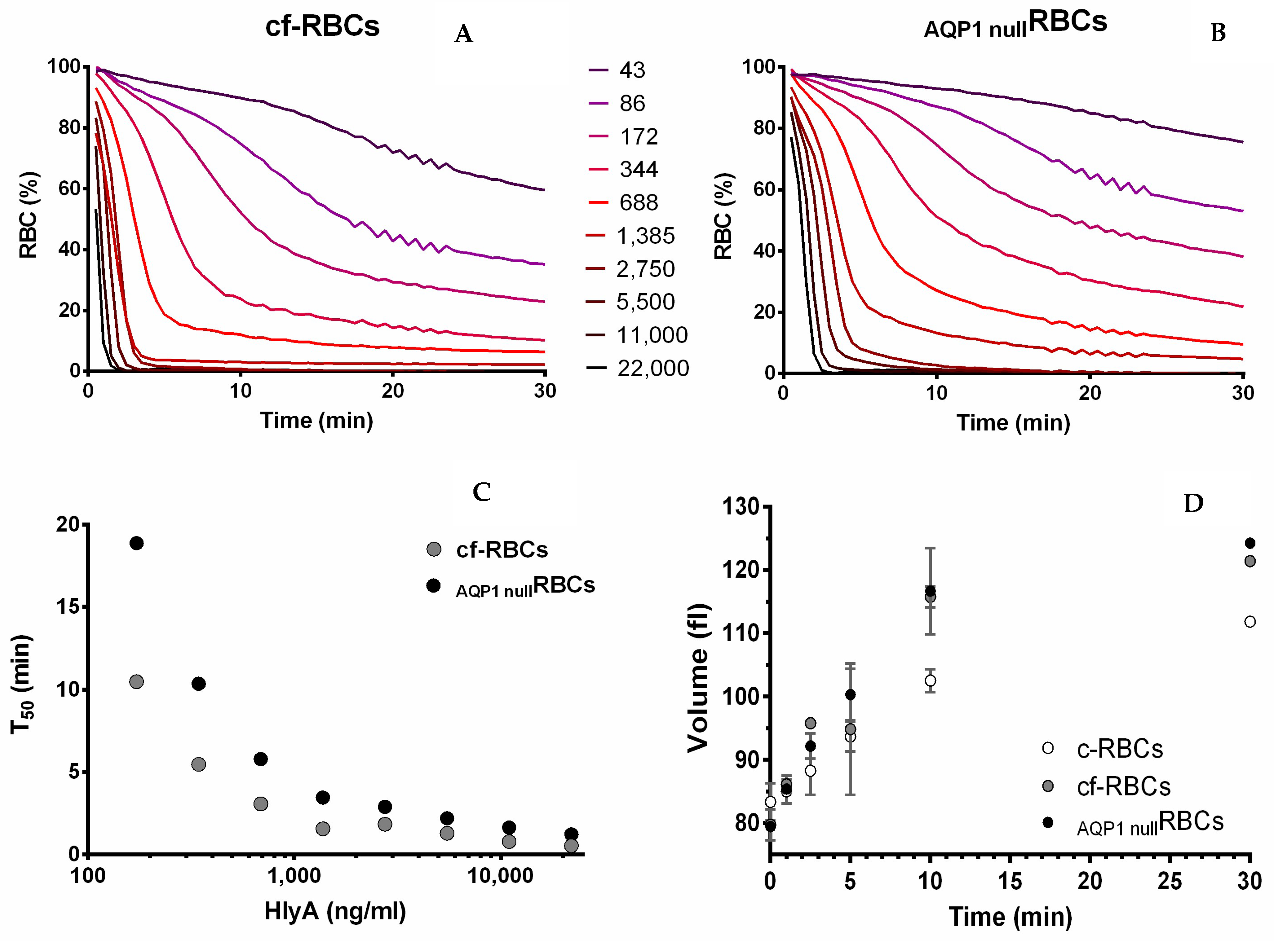 Ijms 23 00872 g007 Ijms 23 00872 g007