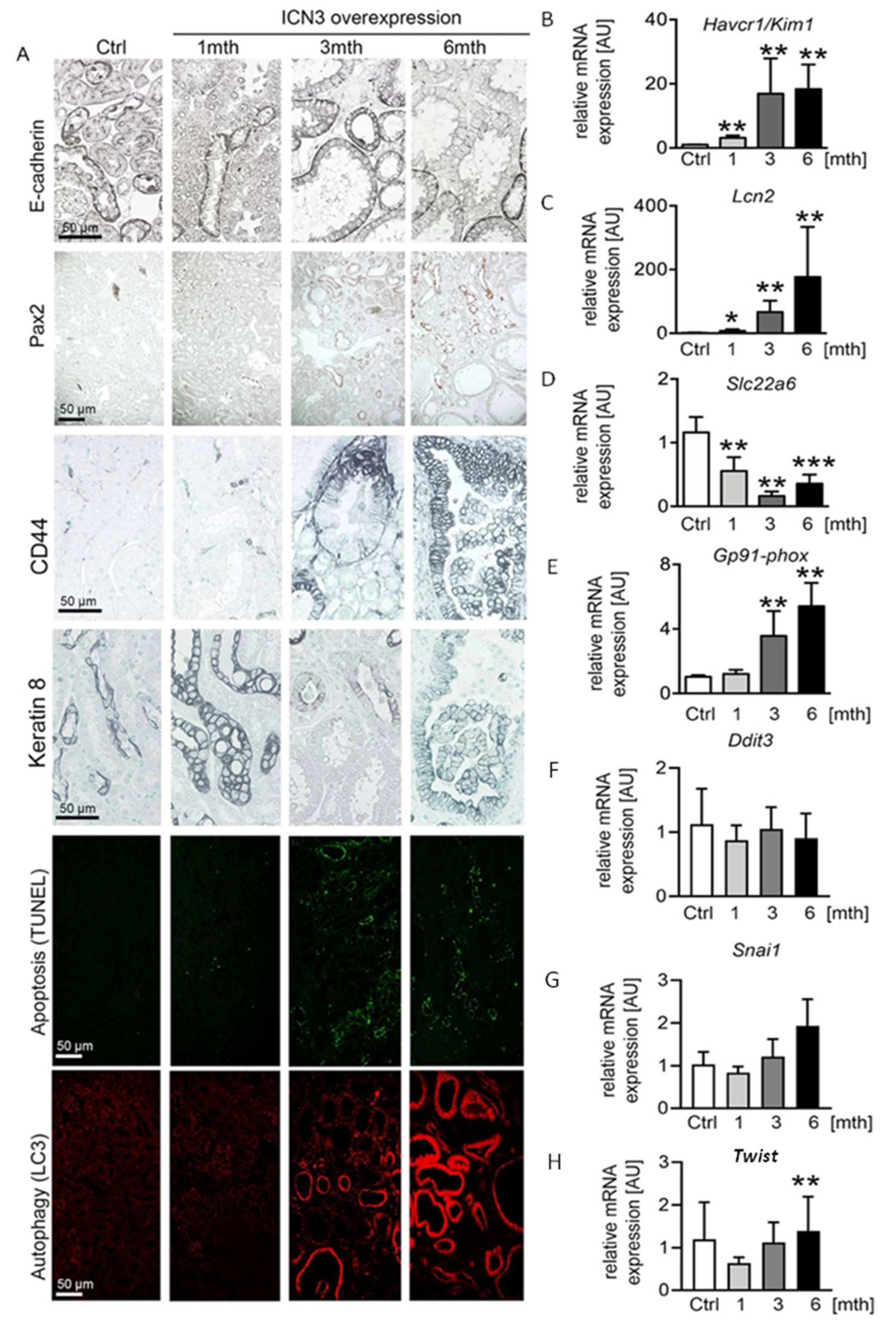Ijms 23 00884 g004