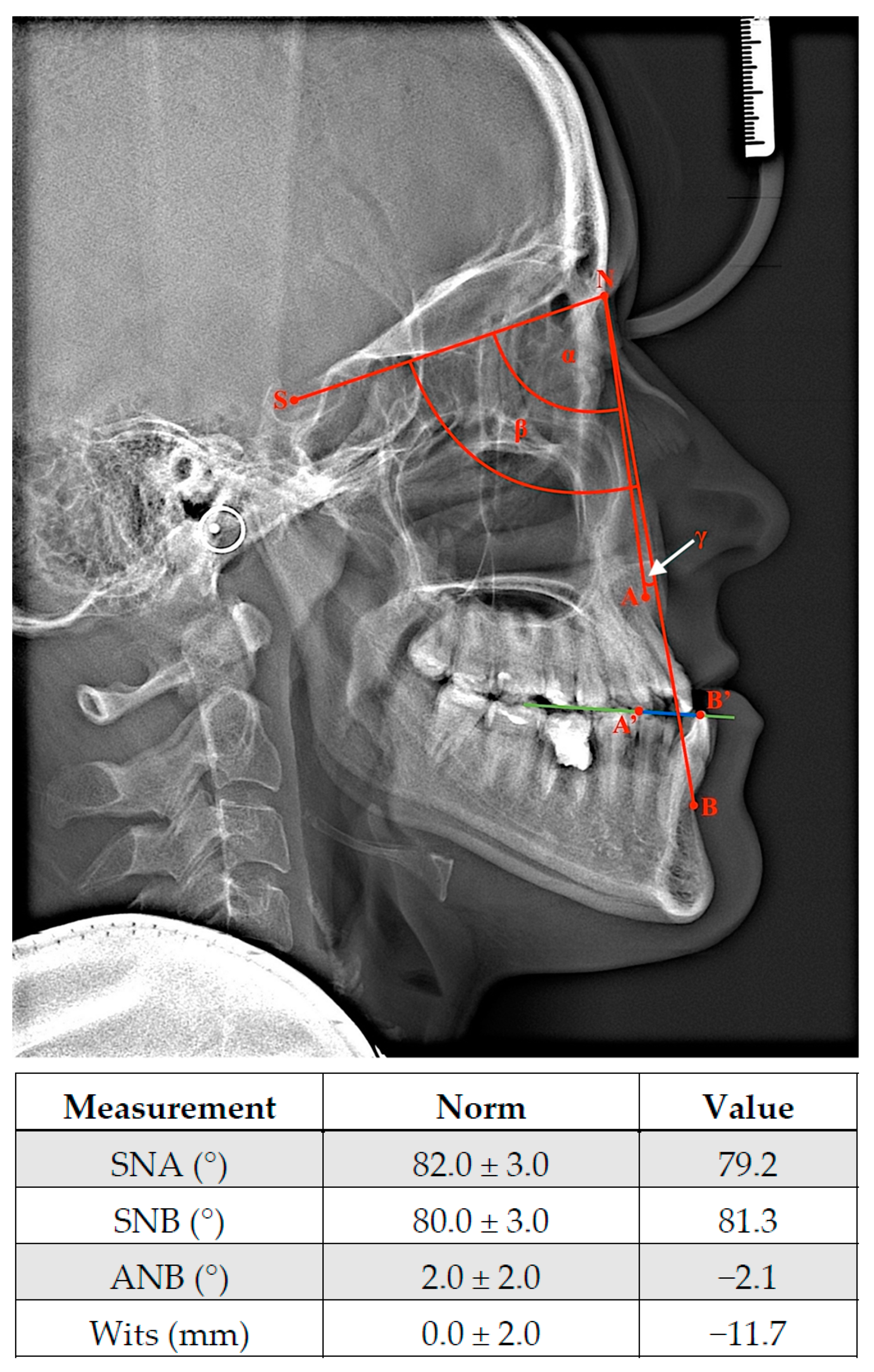 Ijms 23 00953 g002 Ijms 23 00953 g002