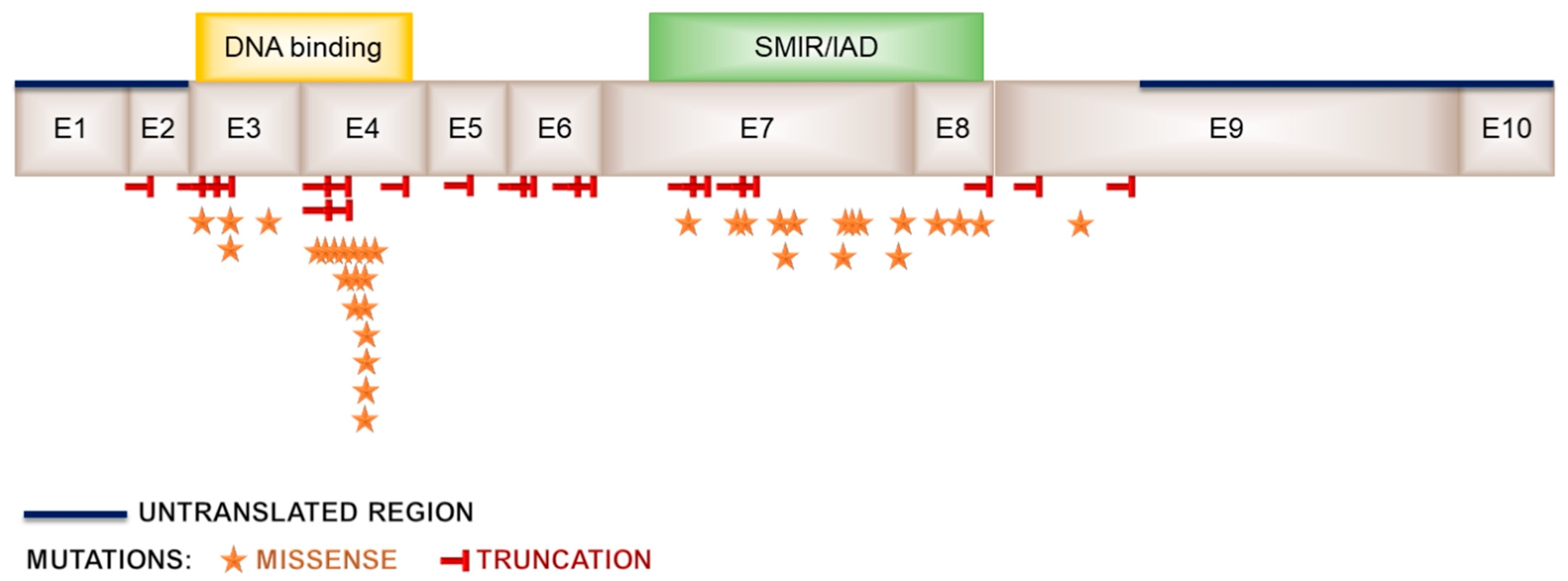 Ijms 23 00953 g003 Ijms 23 00953 g003