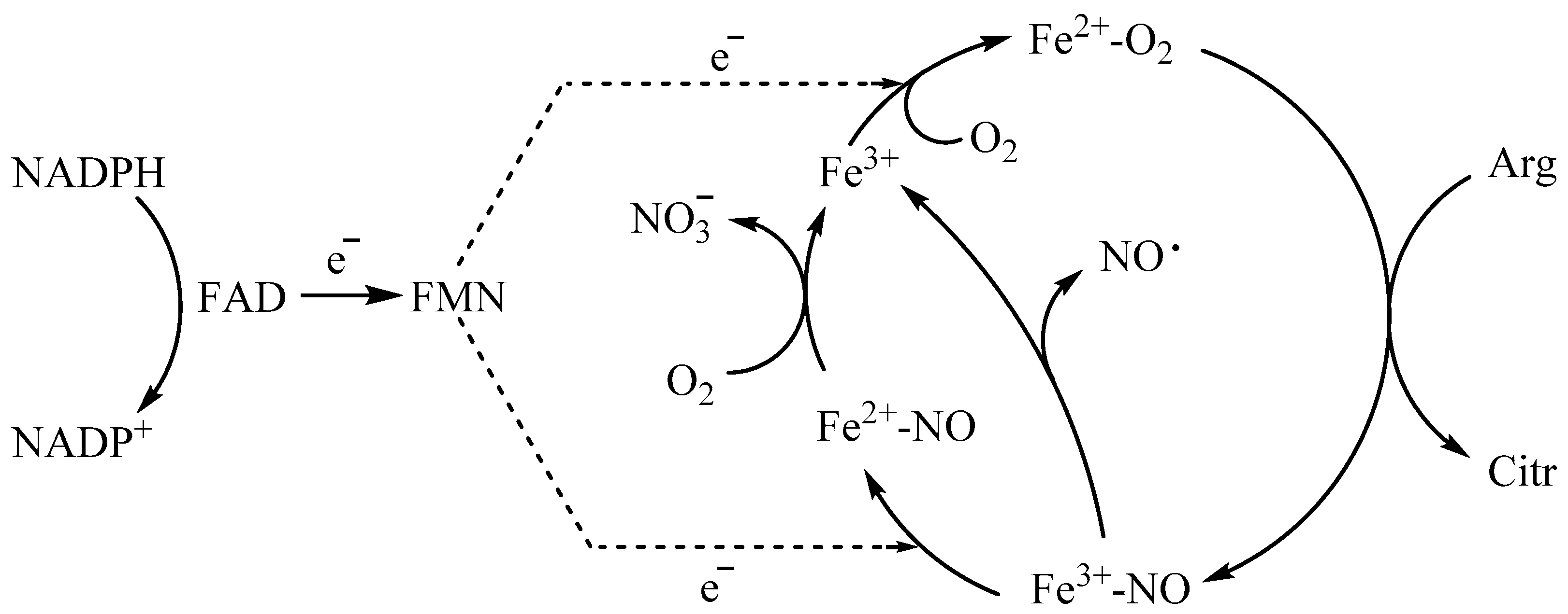 Ijms 23 00980 sch001