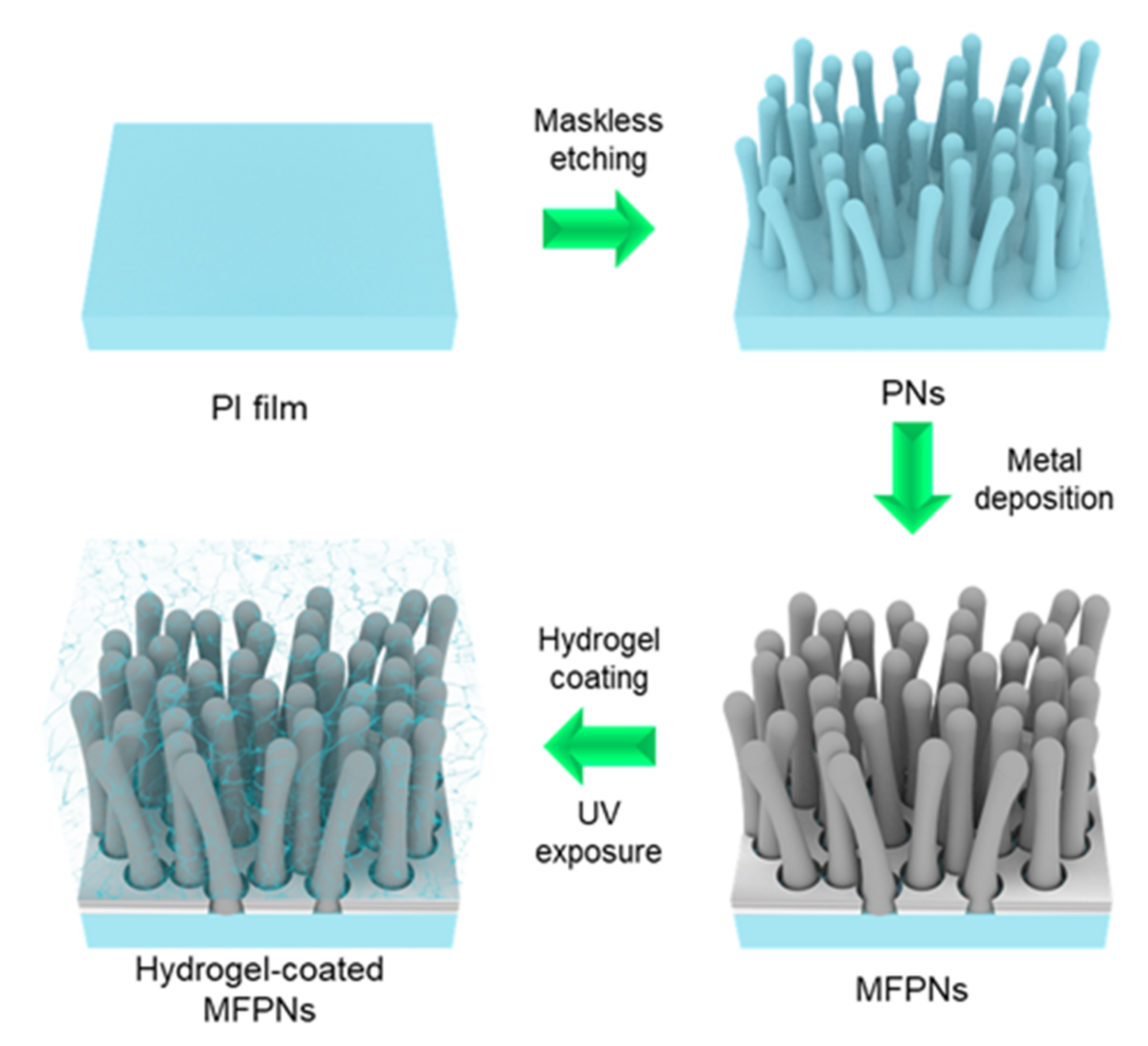 Ijms 23 01004 sch001