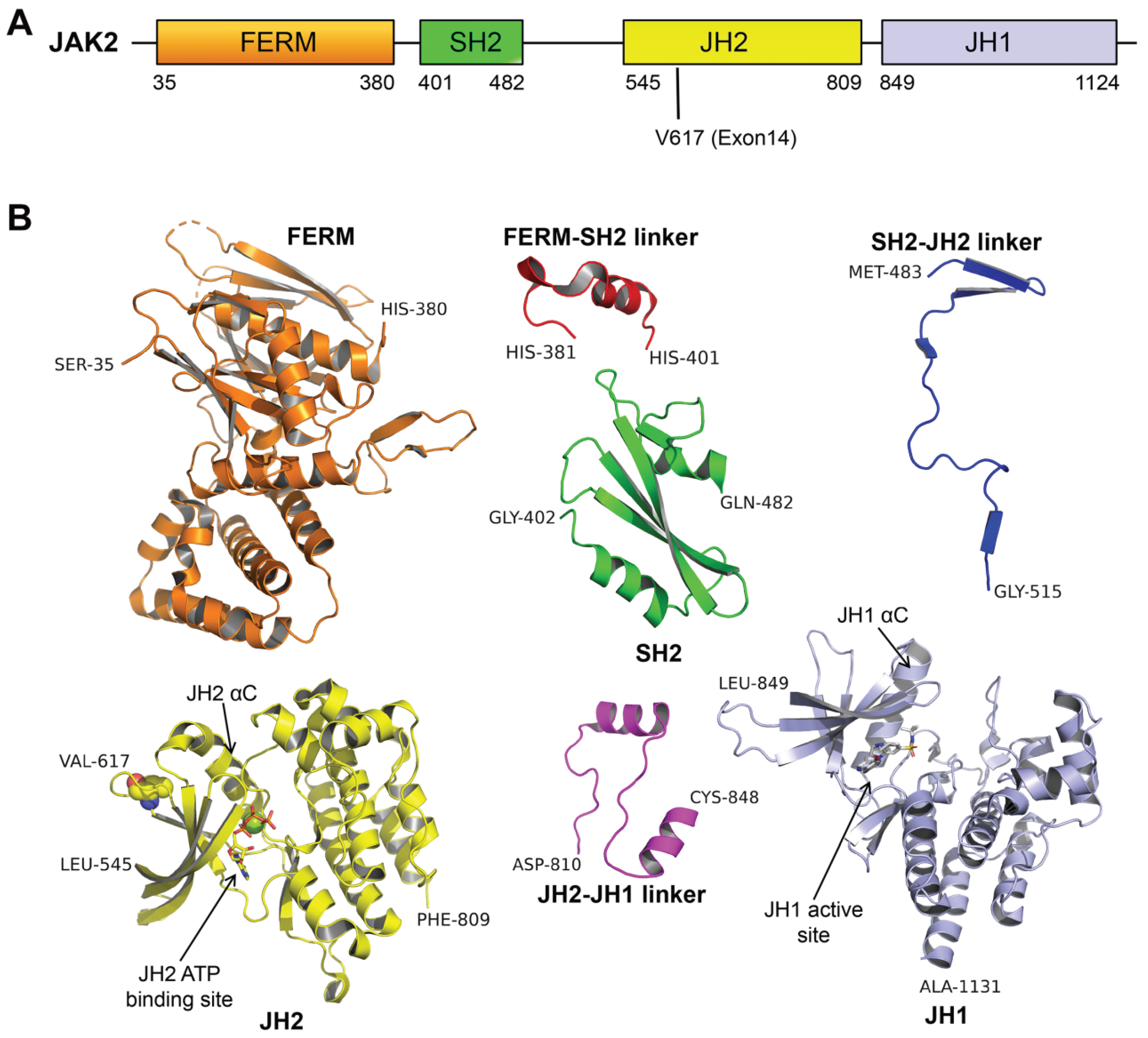 Ijms 23 01013 g001