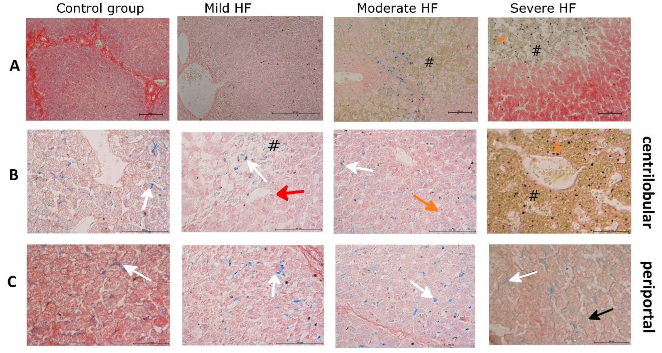 Ijms 23 01026 g001 Ijms 23 01026 g001