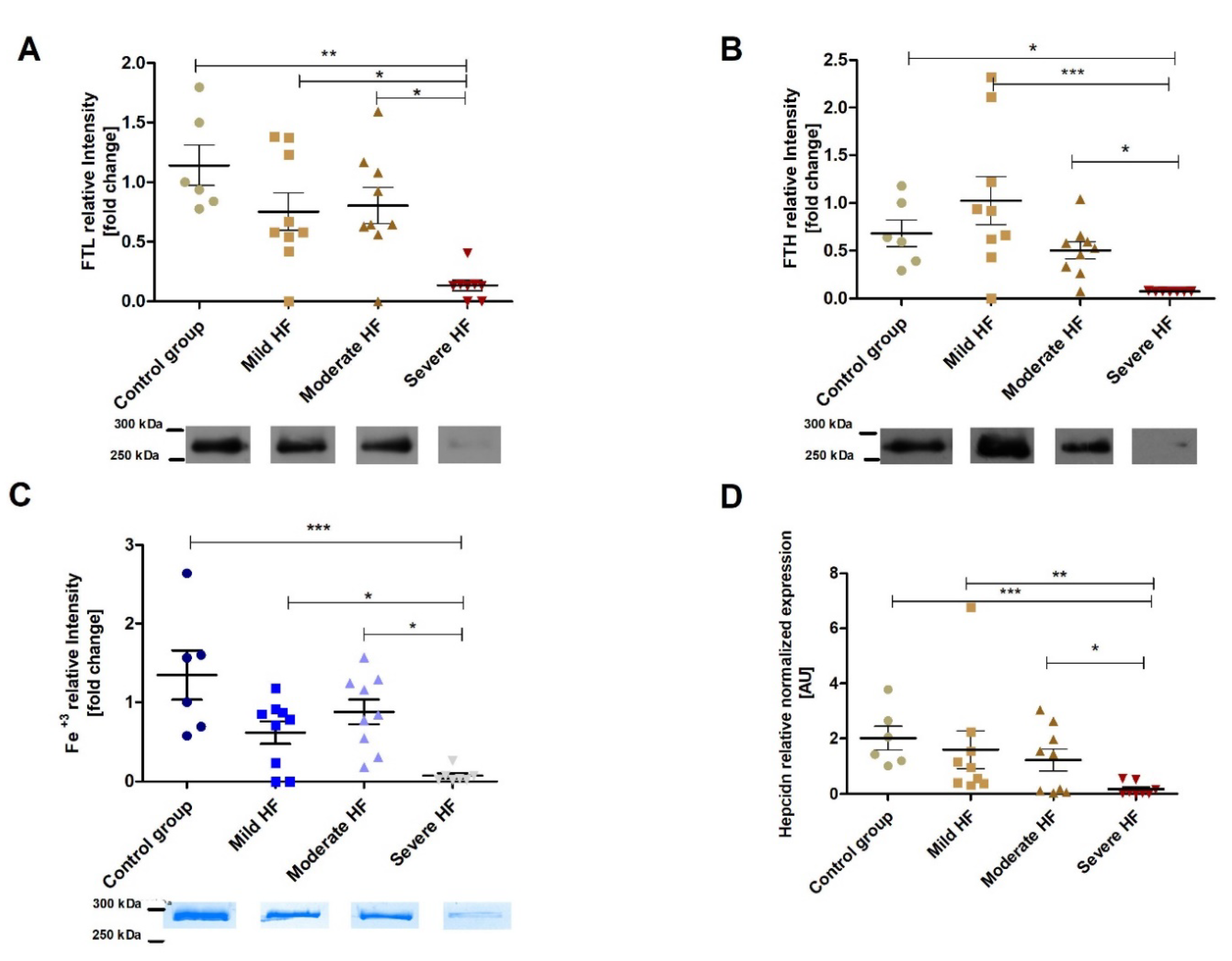 Ijms 23 01026 g005 Ijms 23 01026 g005