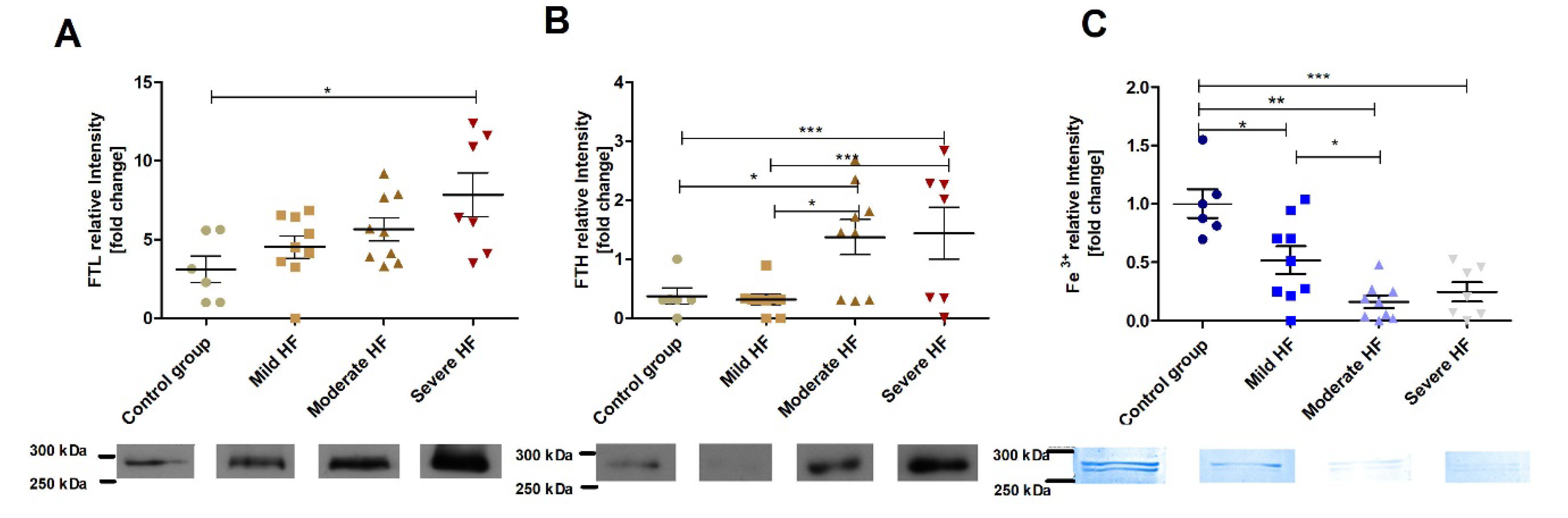 Ijms 23 01026 g006 Ijms 23 01026 g006