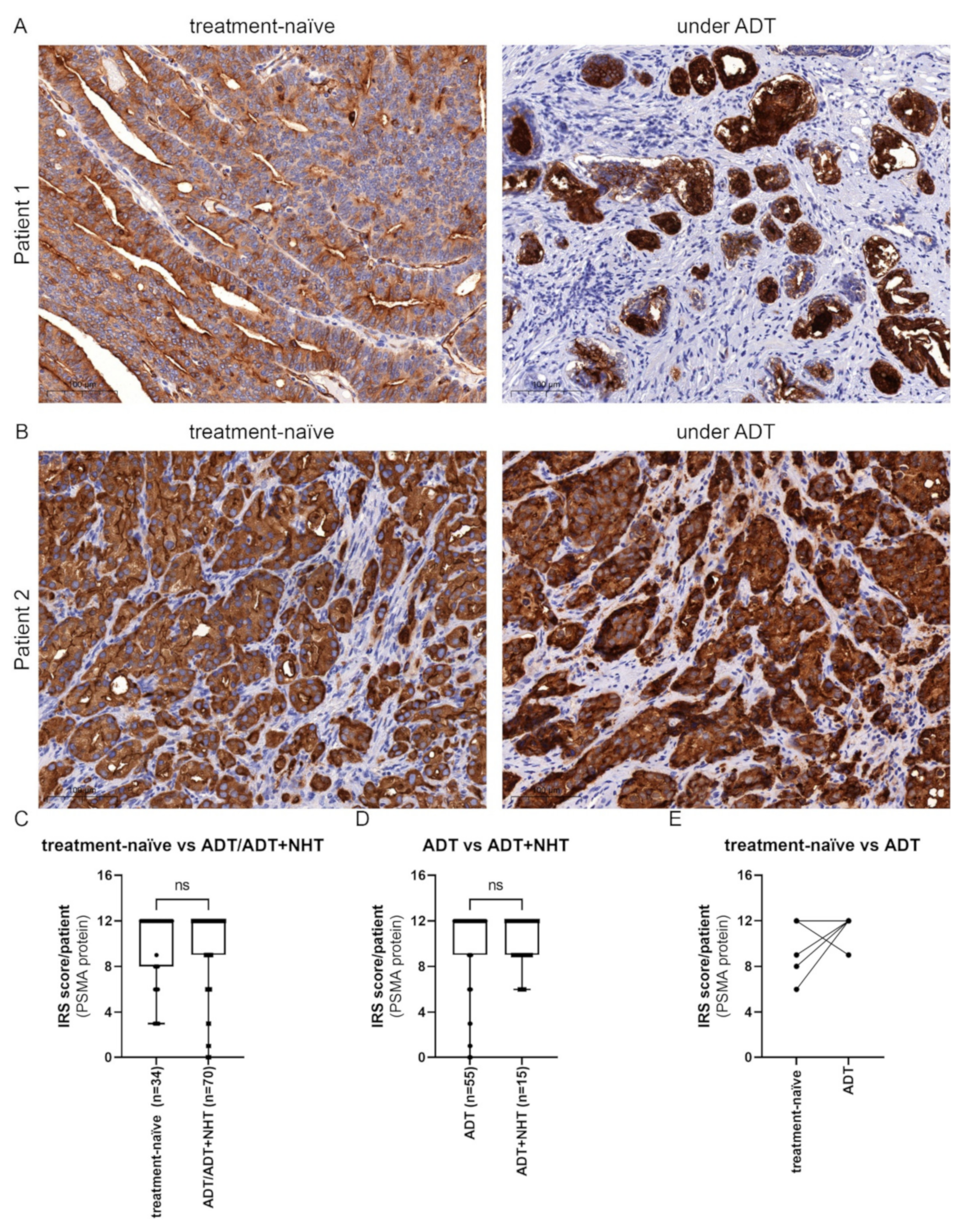 Ijms 23 01046 g006 Ijms 23 01046 g006