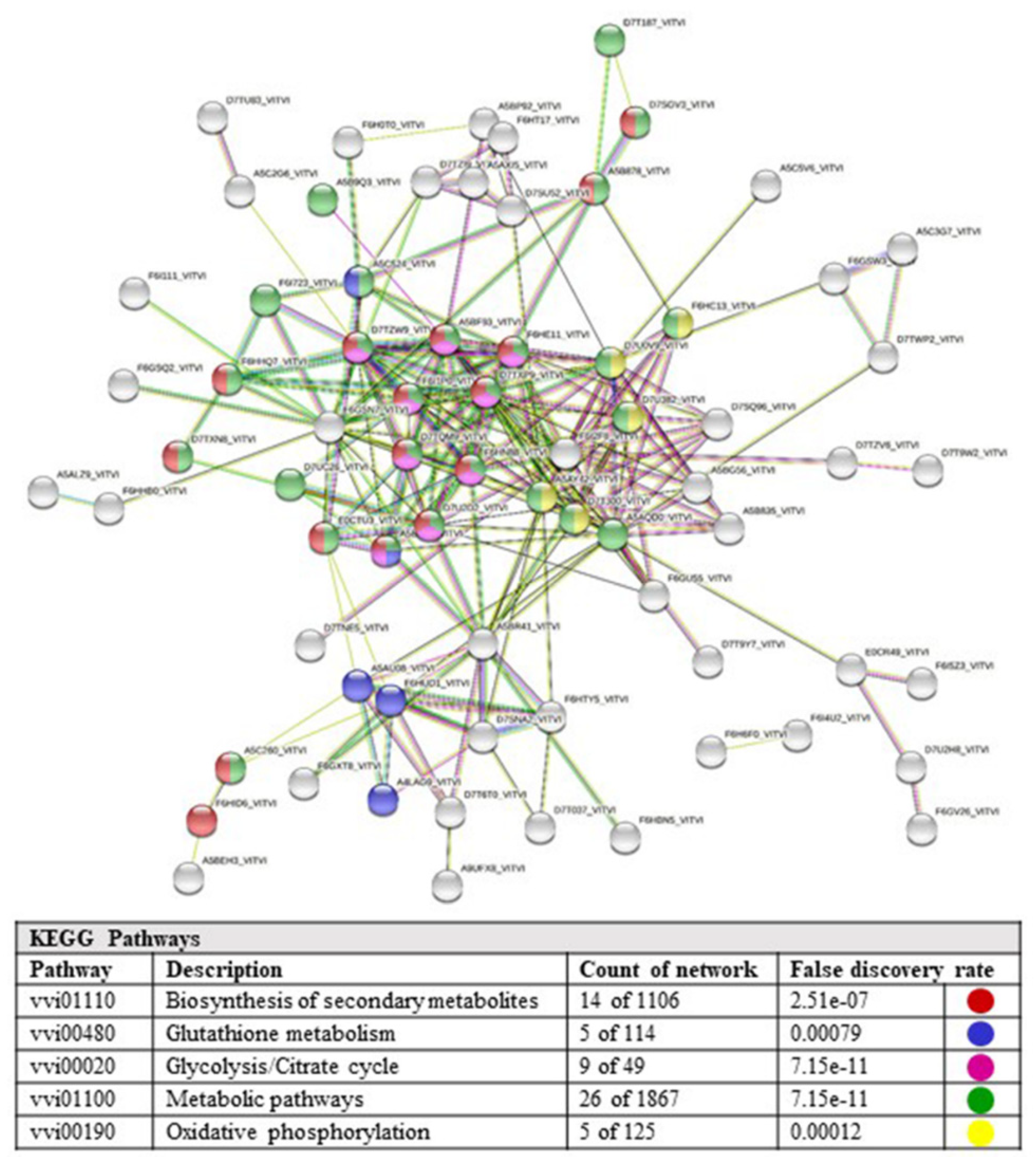 Ijms 23 01051 g006 Ijms 23 01051 g006