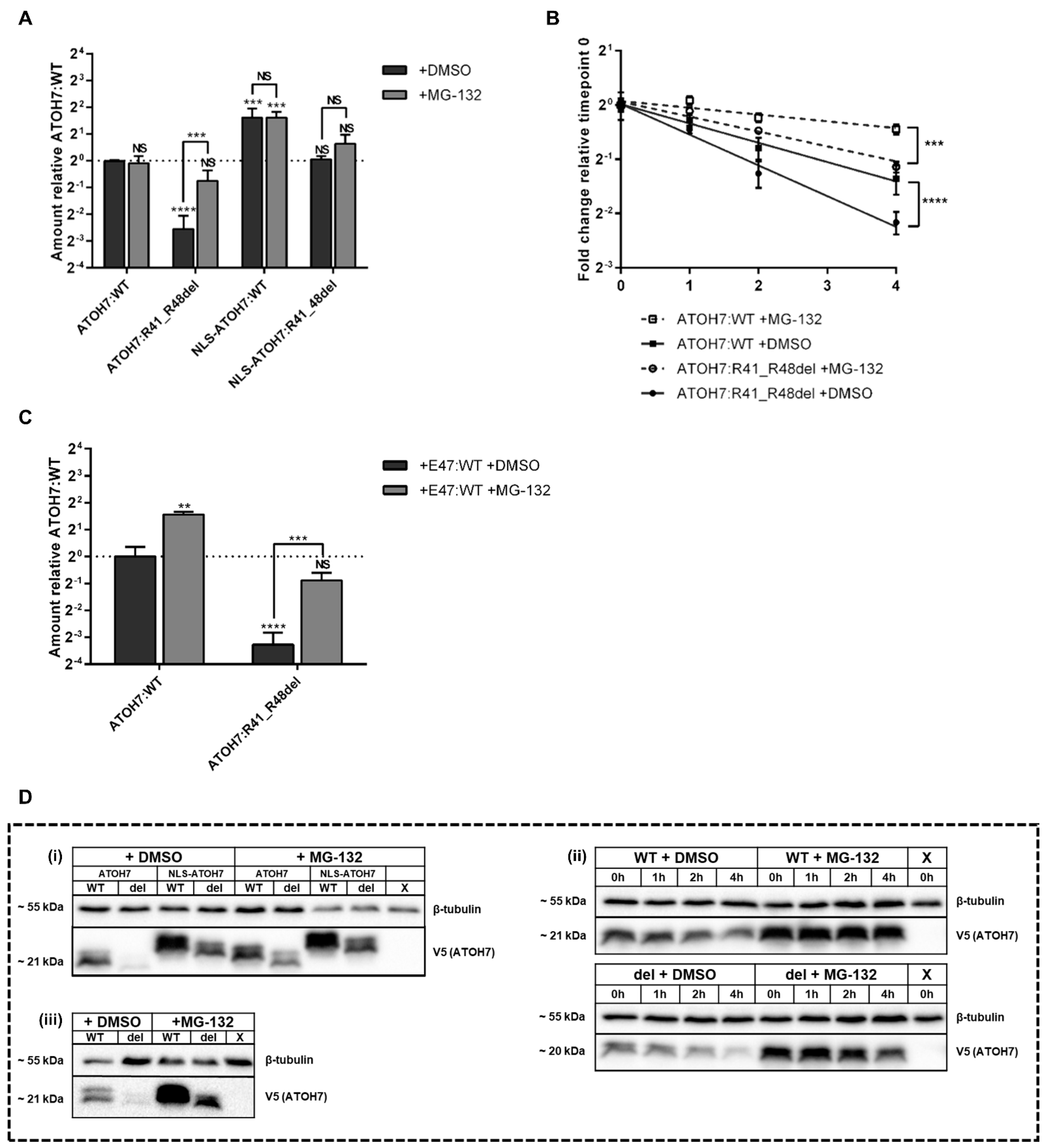 Ijms 23 01053 g003 Ijms 23 01053 g003