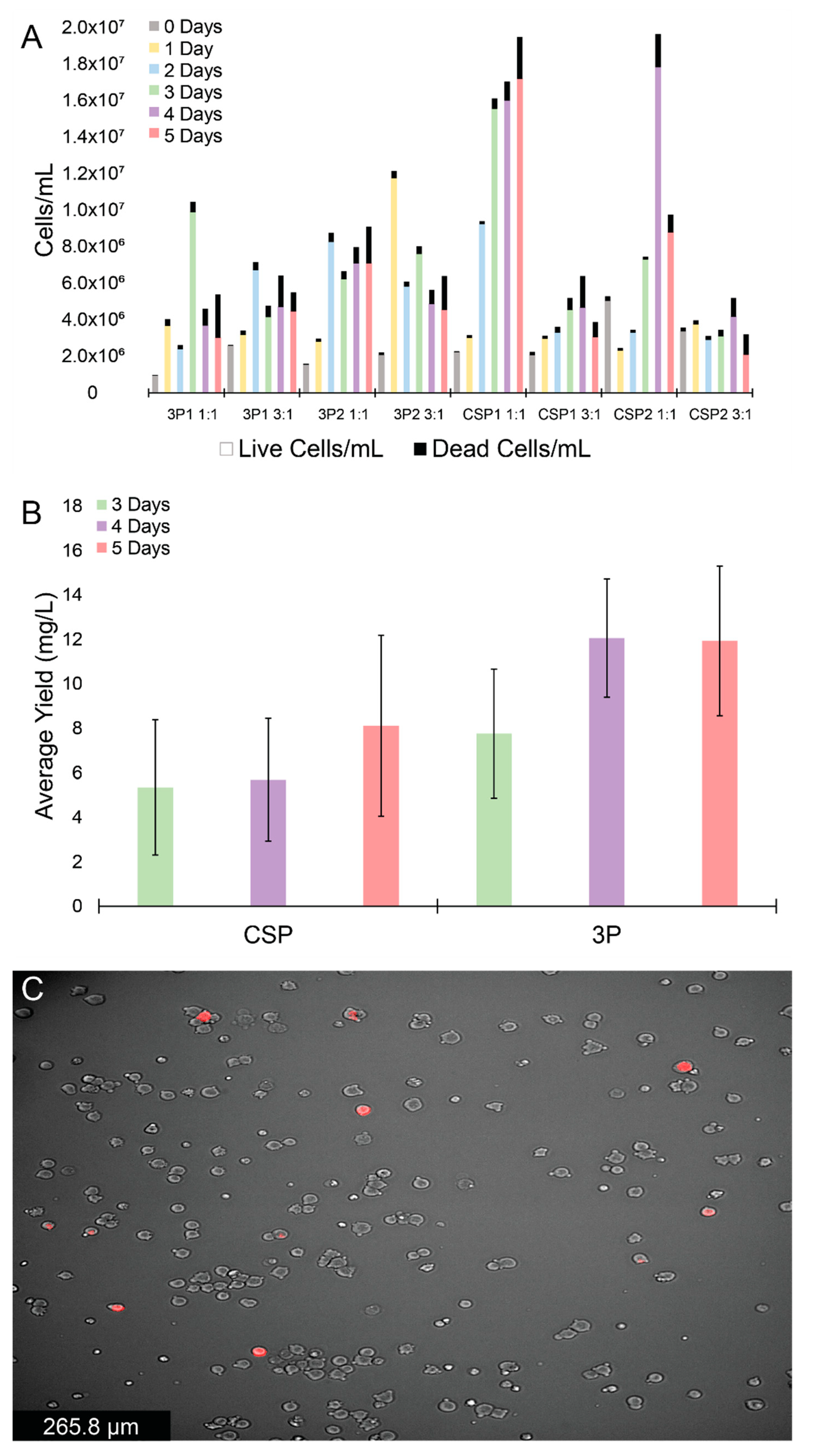 Ijms 23 01054 g002 Ijms 23 01054 g002
