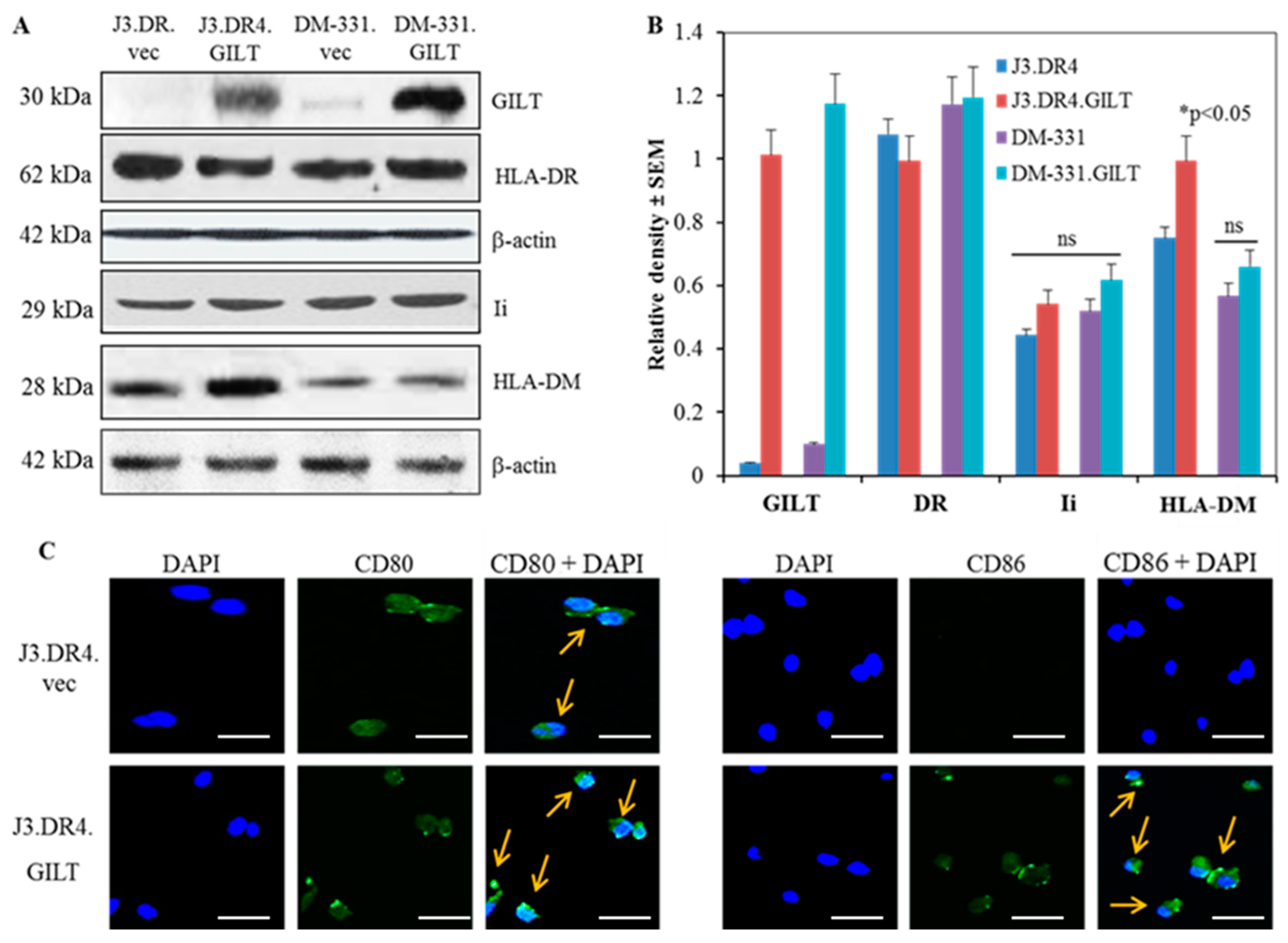 Ijms 23 01066 g001 Ijms 23 01066 g001
