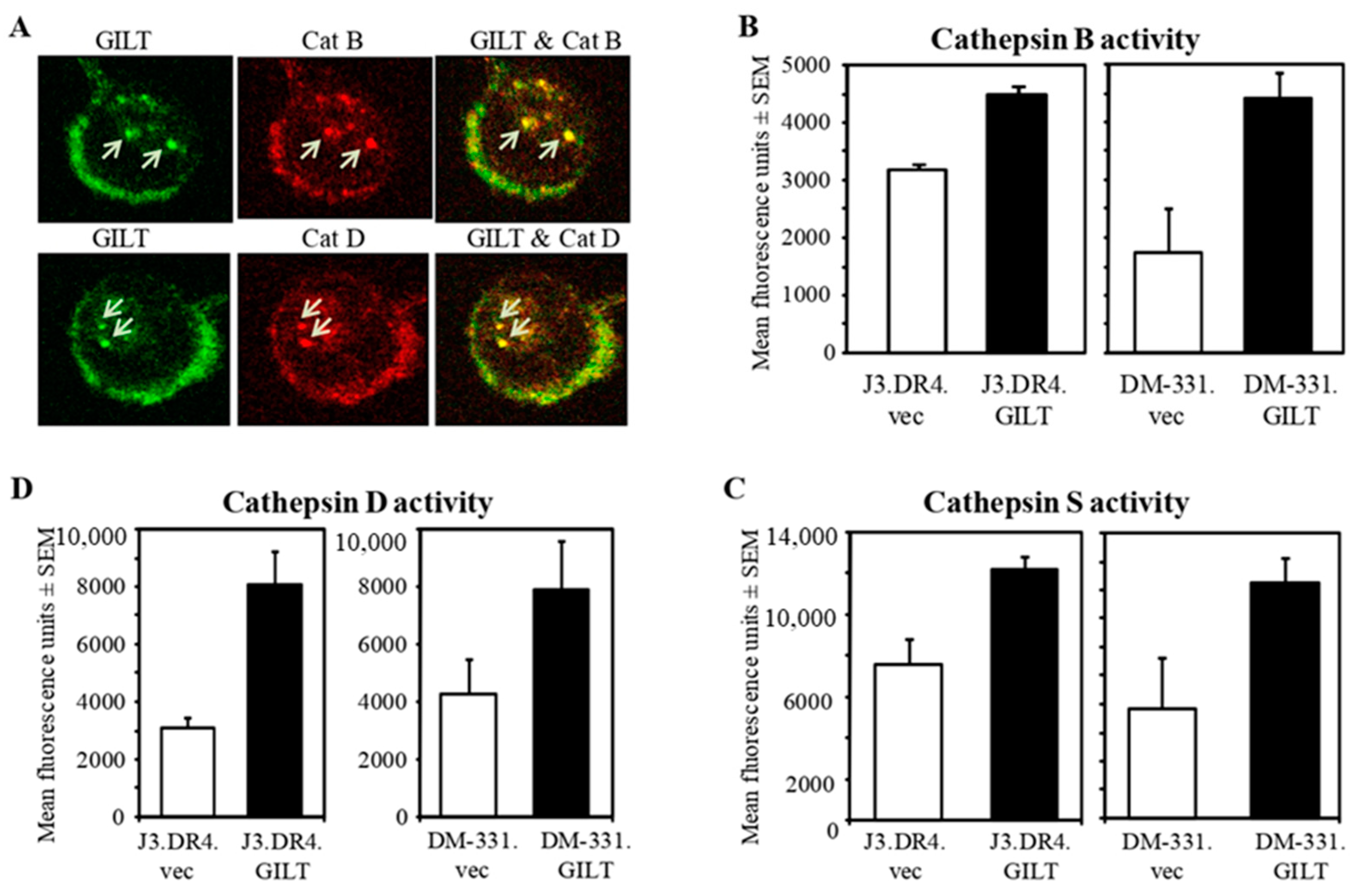 Ijms 23 01066 g002 Ijms 23 01066 g002