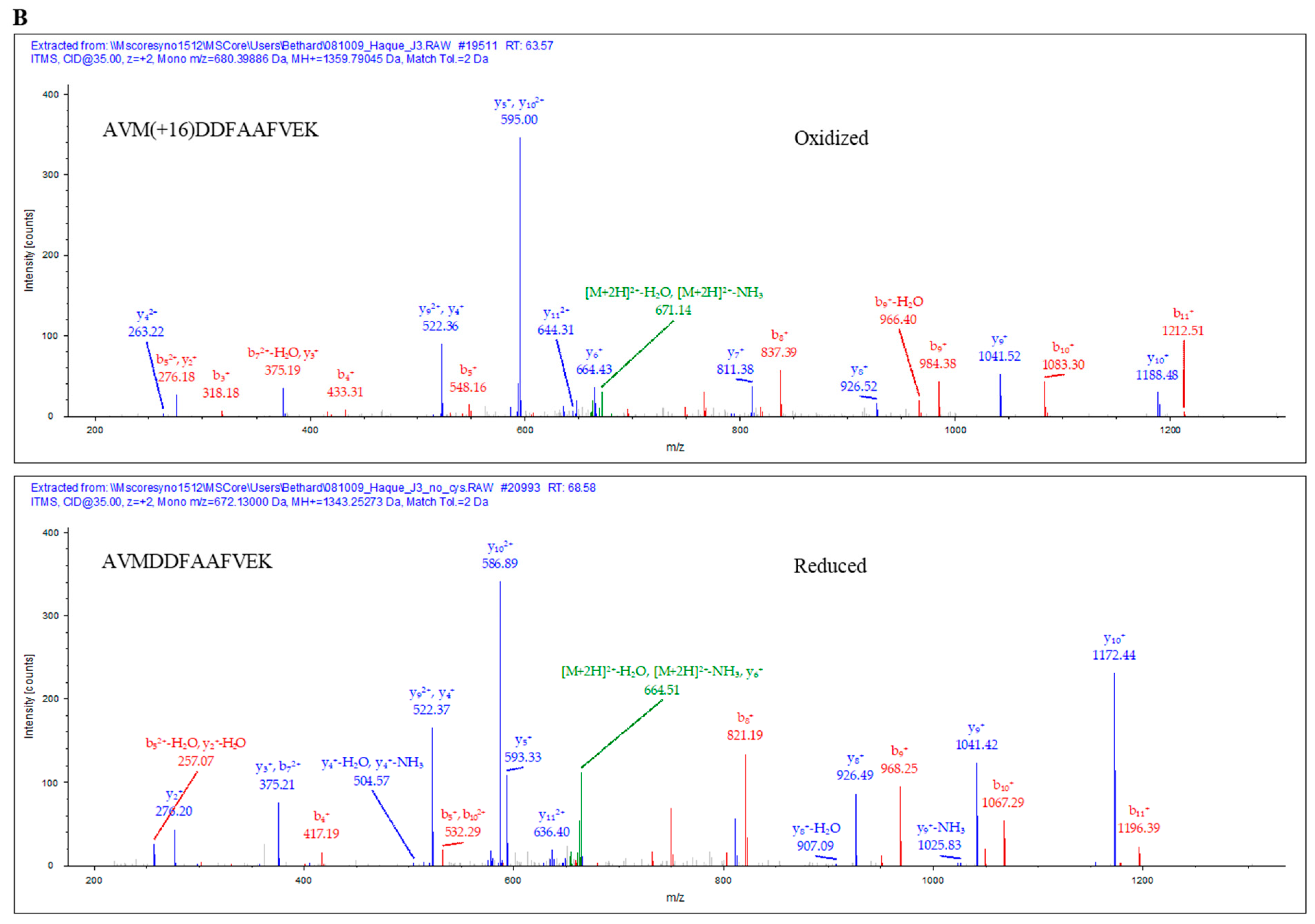Ijms 23 01066 g005b Ijms 23 01066 g005b