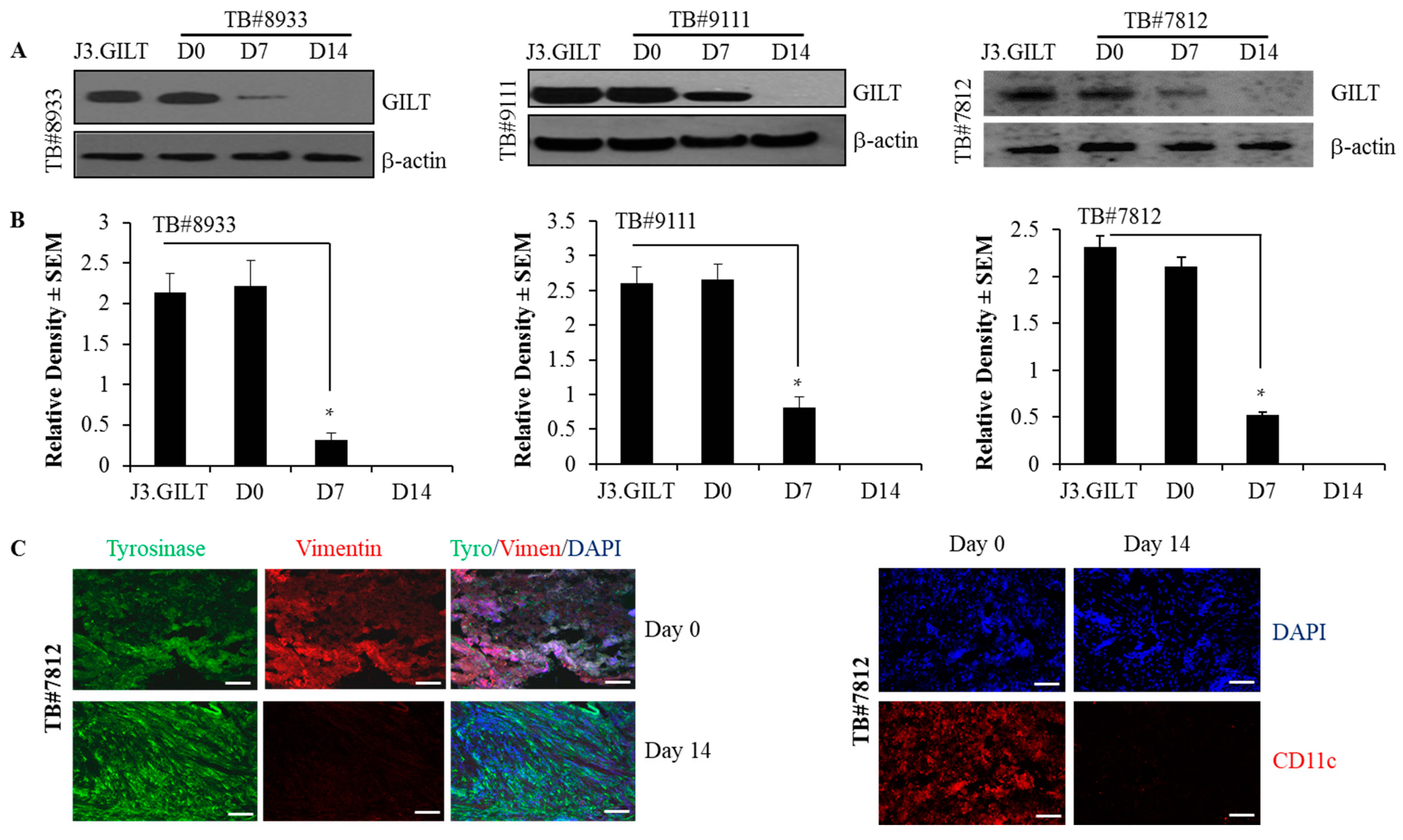 Ijms 23 01066 g007 Ijms 23 01066 g007