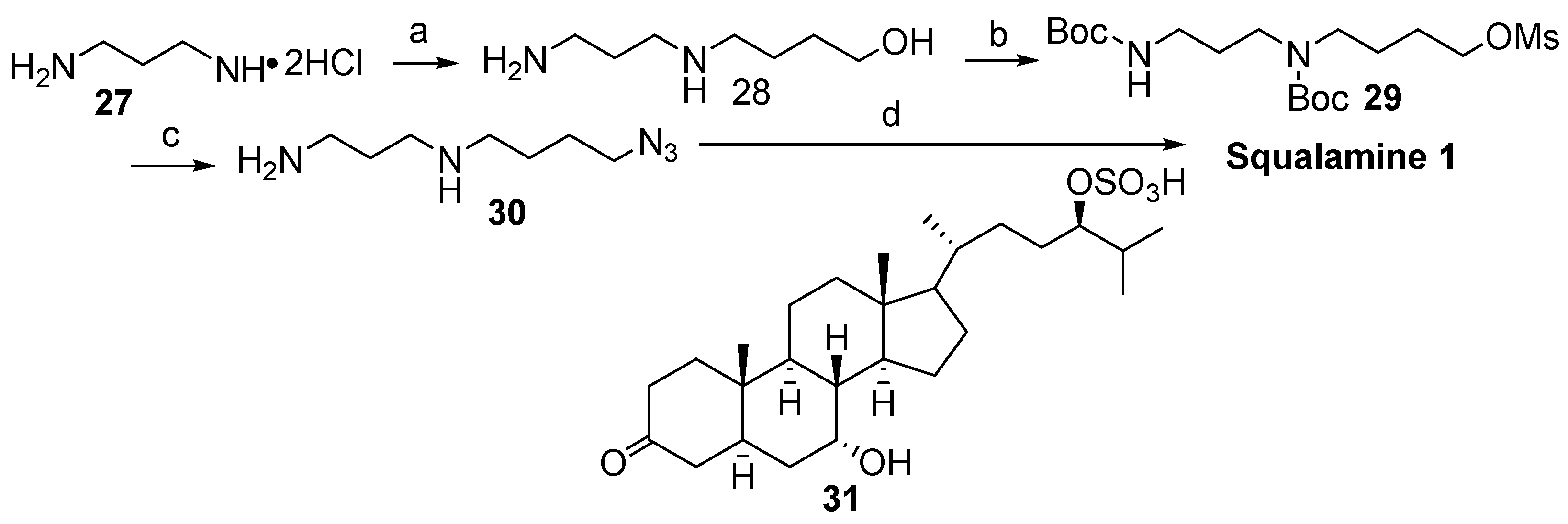 Ijms 23 01075 sch004