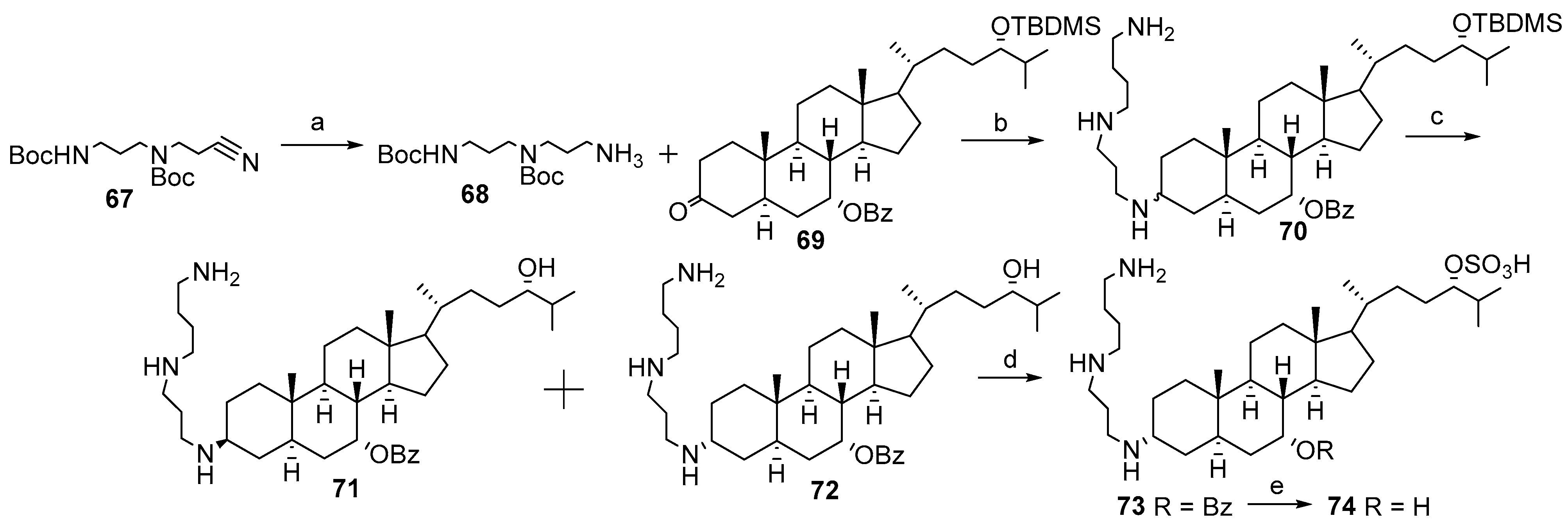 Ijms 23 01075 sch009