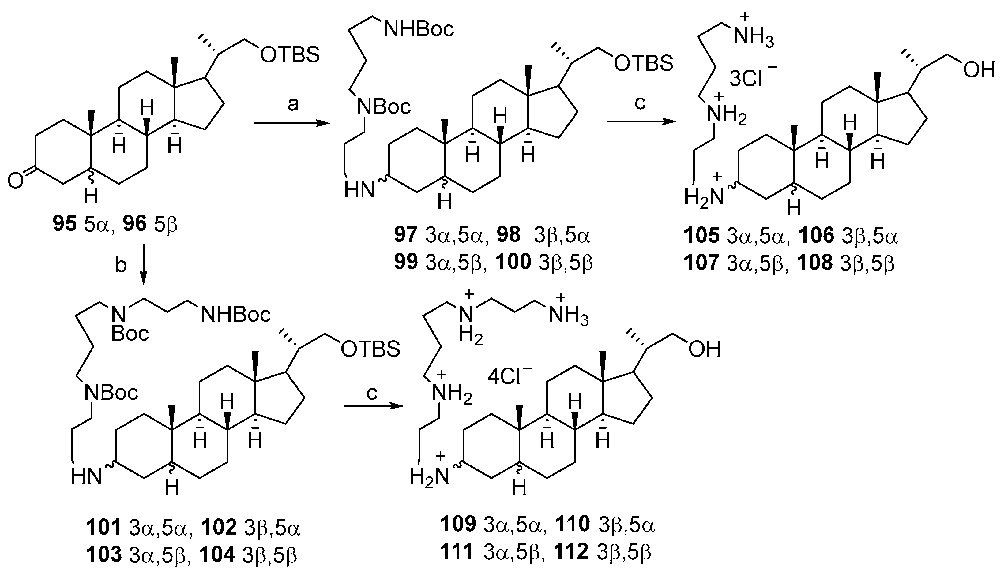 Ijms 23 01075 sch014