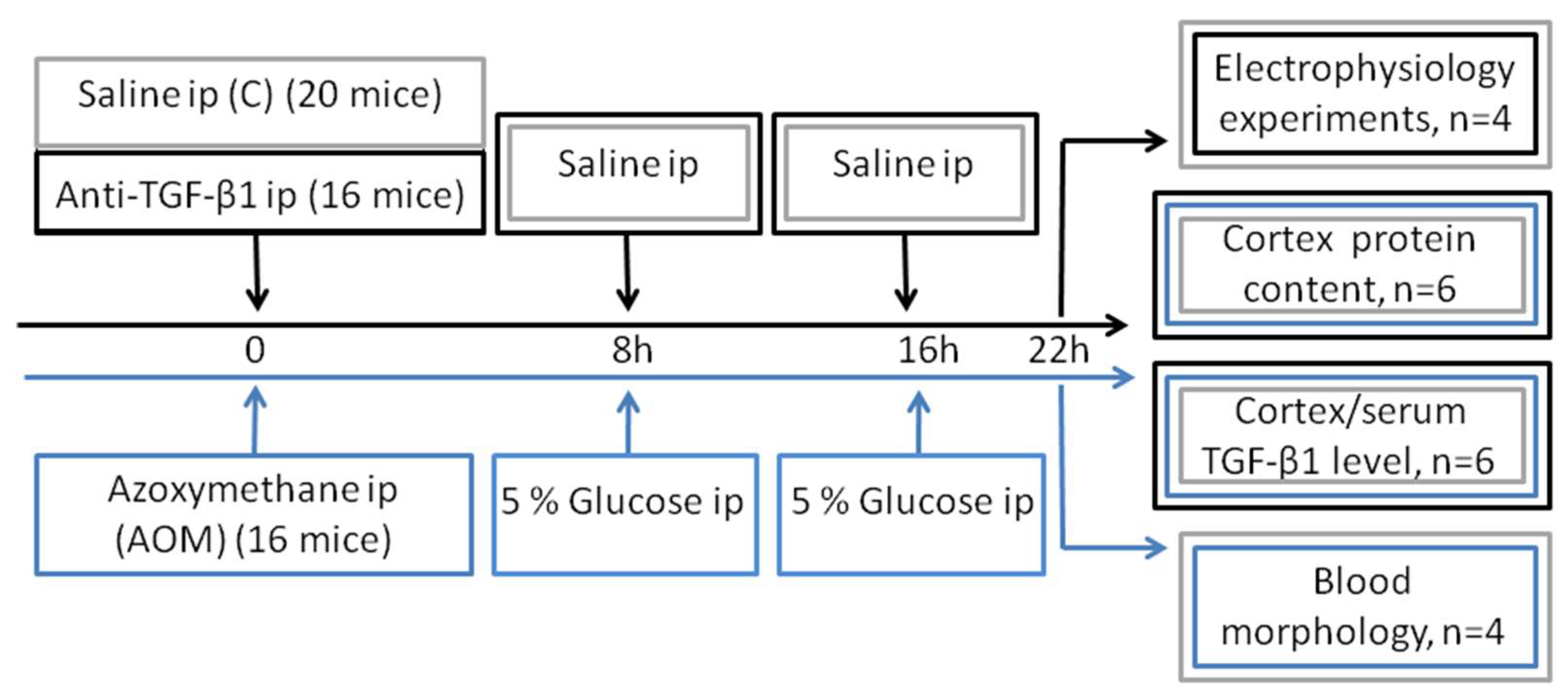 Ijms 23 01081 g007